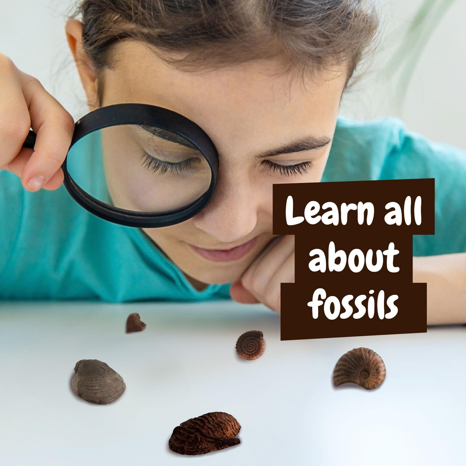 Science4you Fossil Dig Kit for Kids 6+ | Excavation Toy with 5 Fossils | Educational Paleontology Gift 5