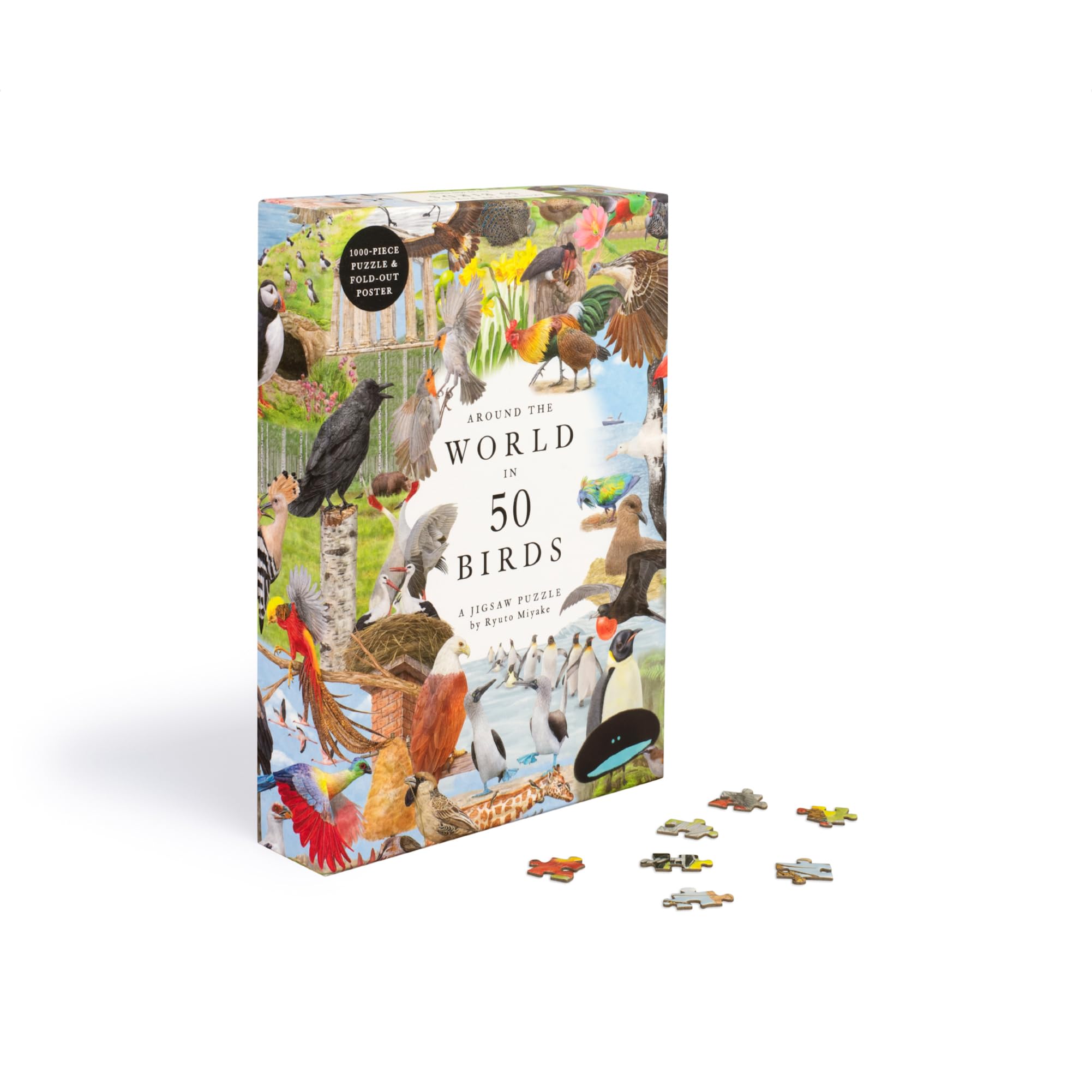 Around the World in 50 Birds: 1000-Piece Jigsaw Puzzle by Laurence King Publishing 9