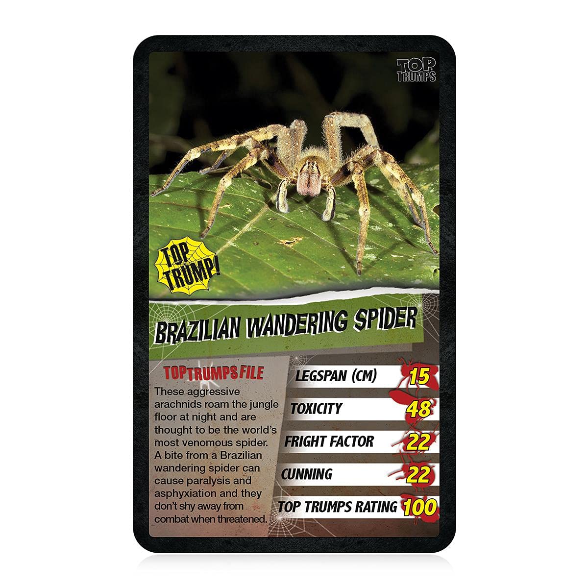 Top Trumps Spiders Classics Card Game - Ages 6+ | 2+ Players | Multicolor 4
