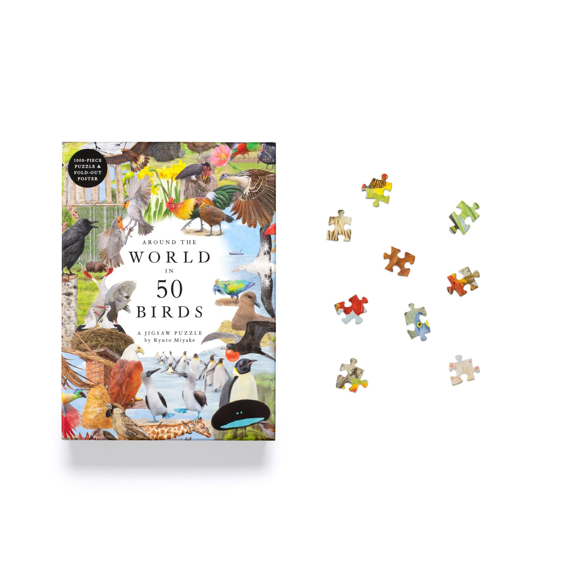 Around the World in 50 Birds: 1000-Piece Jigsaw Puzzle by Laurence King Publishing 11
