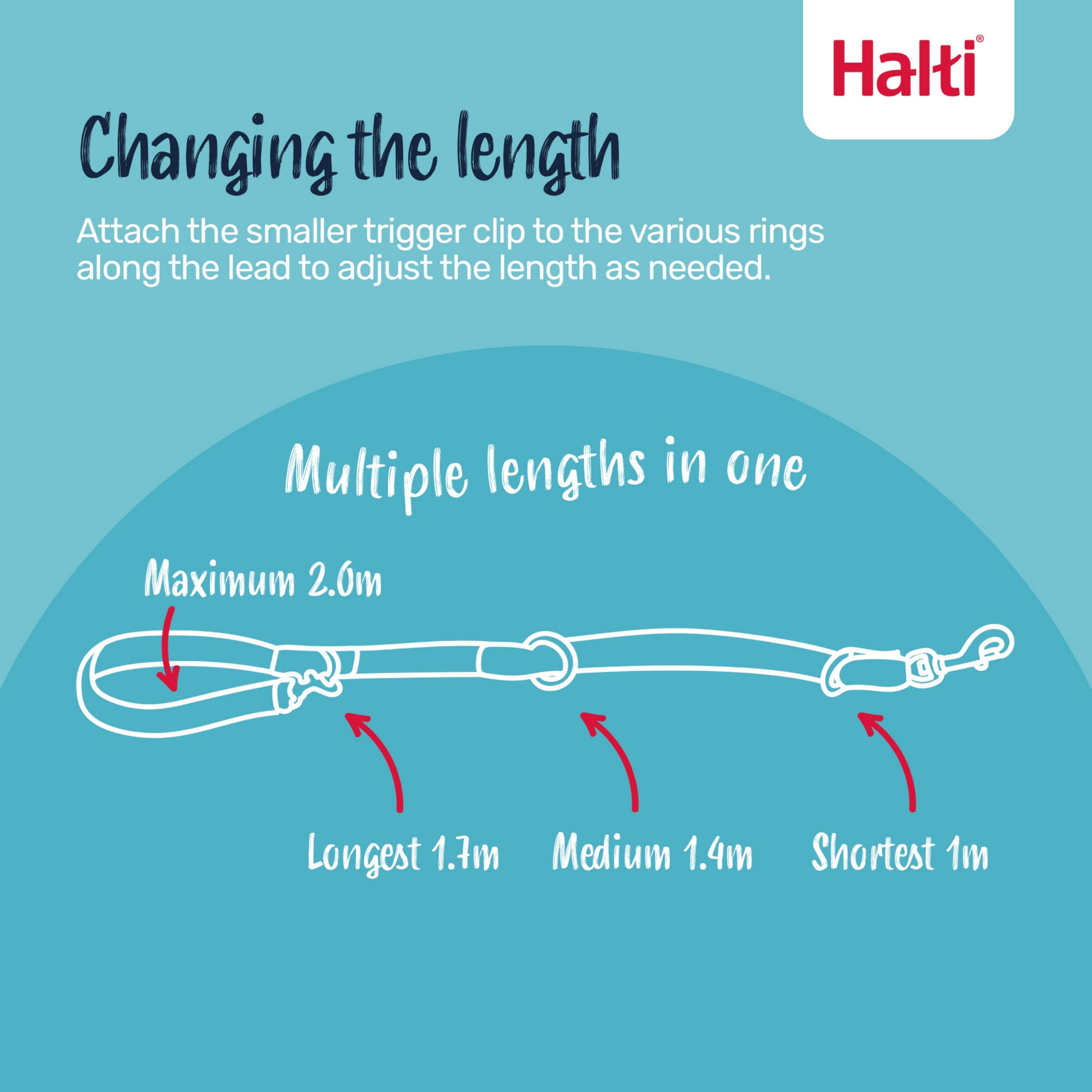 Halti Training Lead - Stops Pulling | Double-Ended | Size Small, Desert Sand, 2m