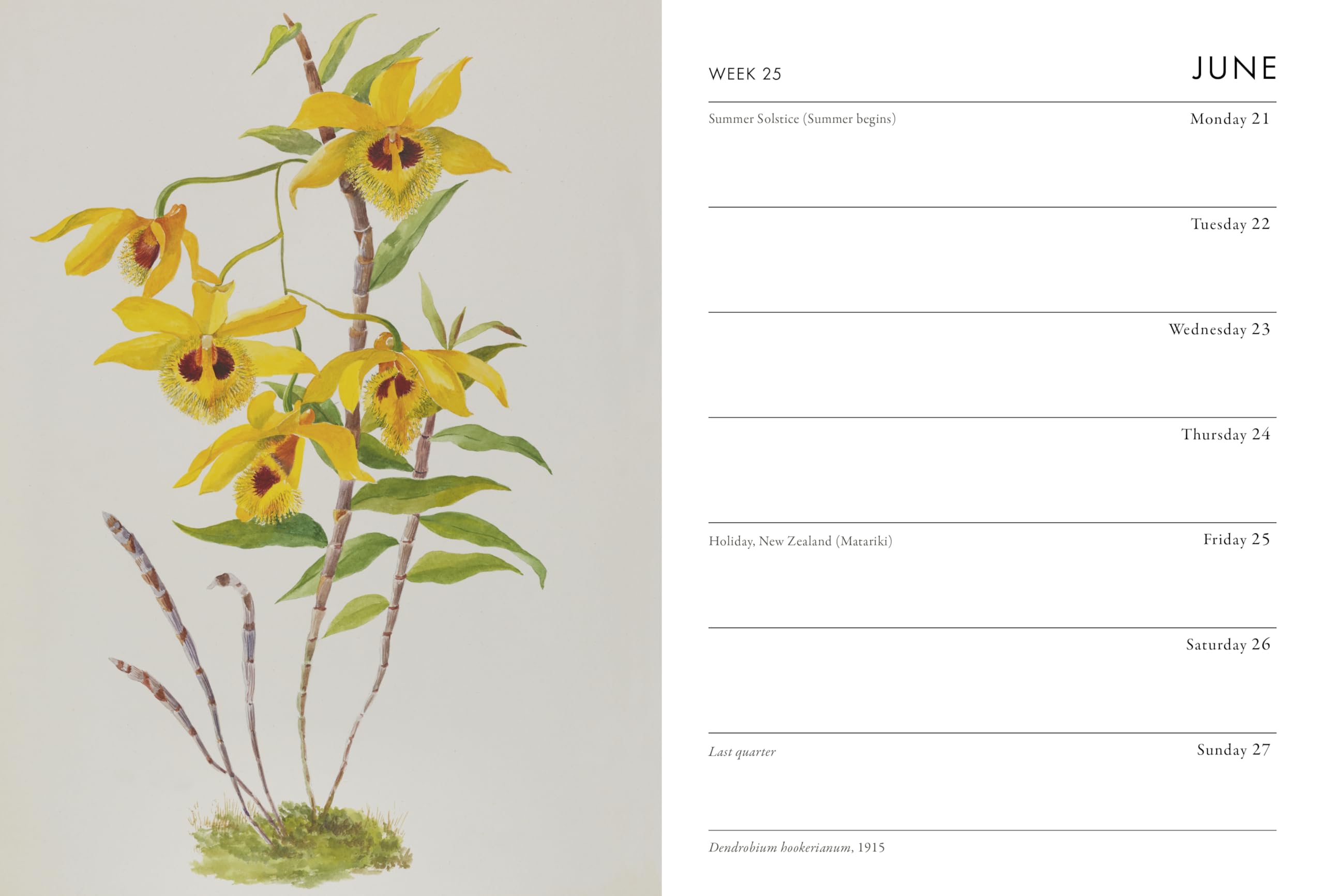 Frances Lincoln RHS Pocket Diary 2027 - Week-to-View Layout | Botanical Art Illustrations 3