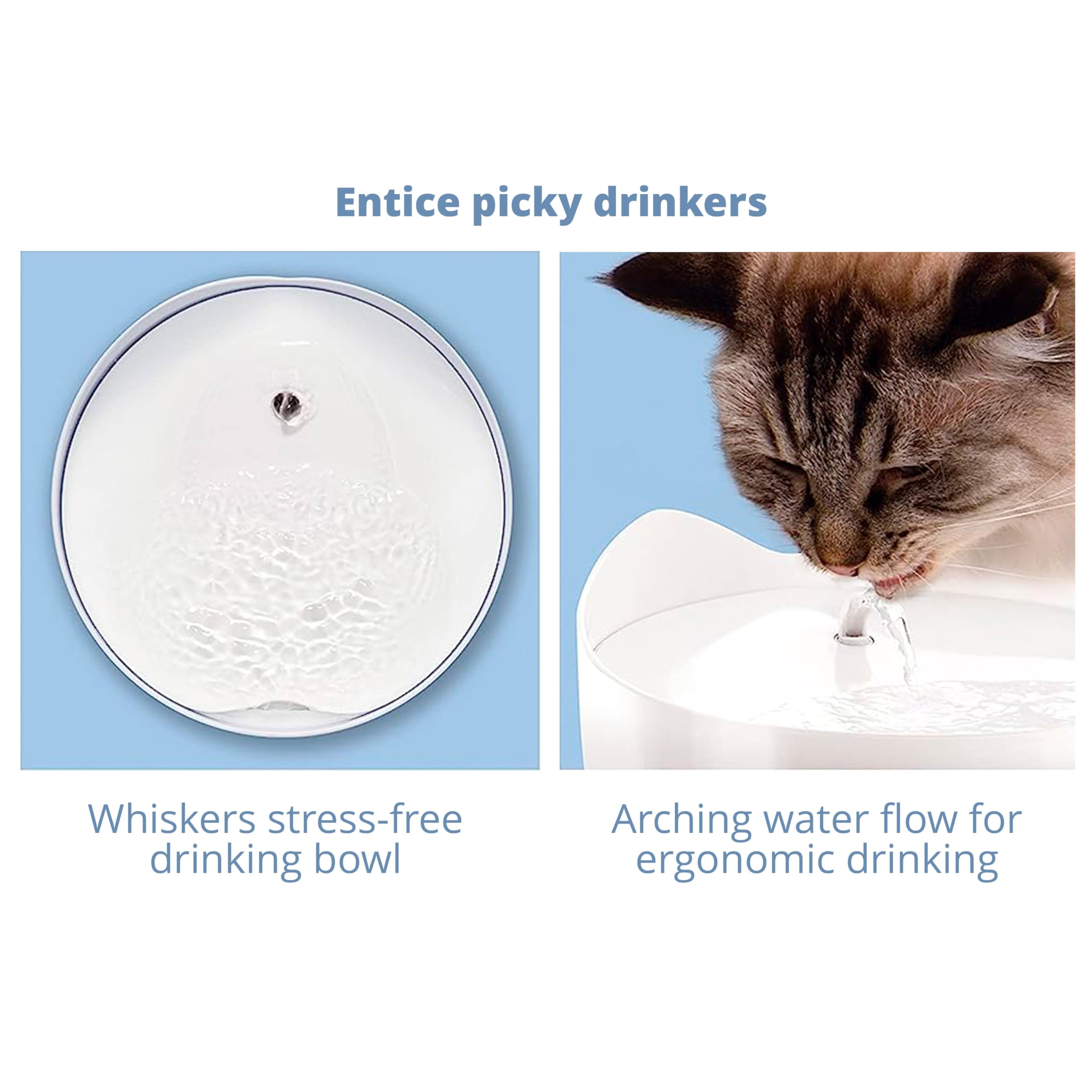 Catit PIXI Cat Drinking Fountain - 2.5 L Capacity | Triple Action Filtration | Low Water Sensor | Pink 6
