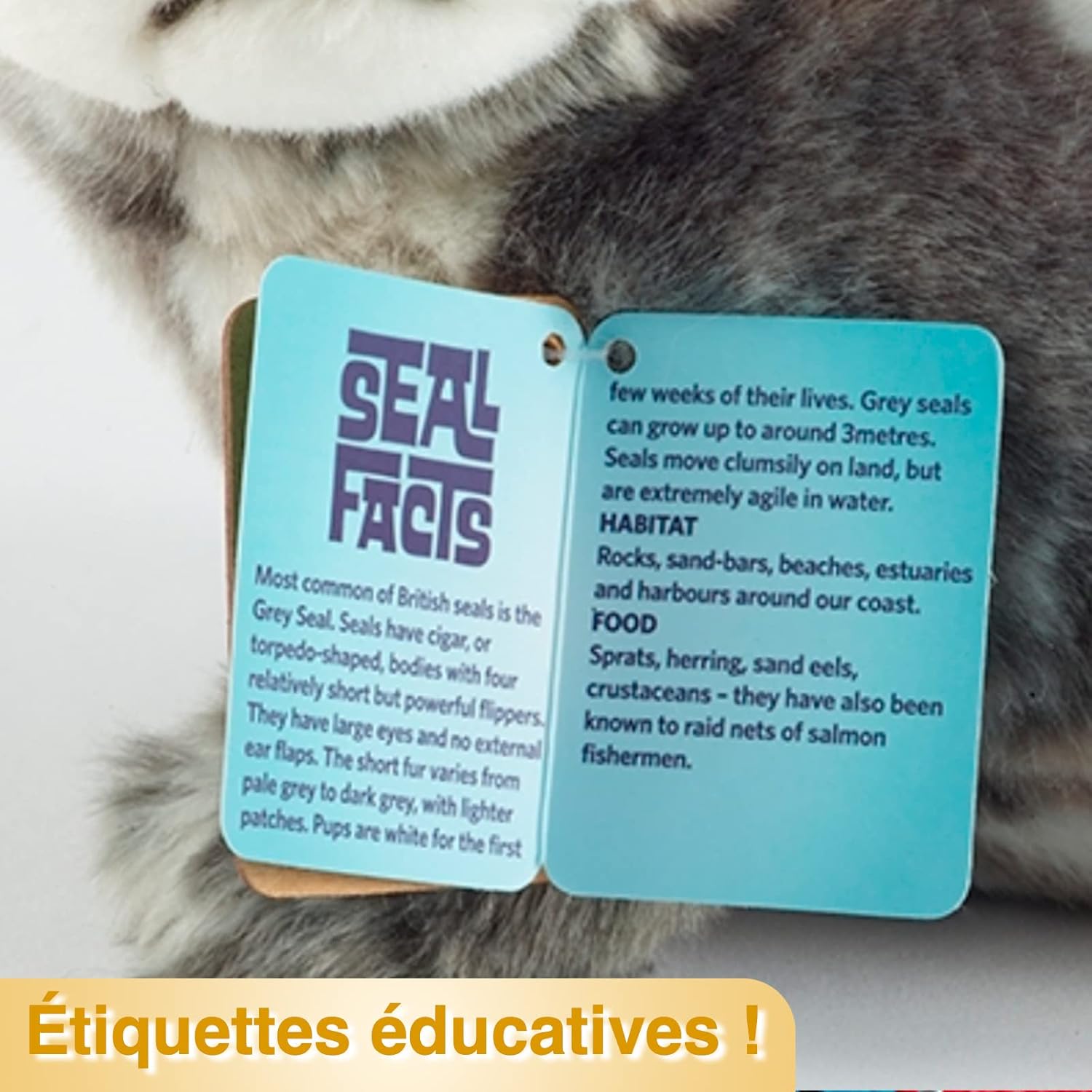 Living Nature Large Hedgehog Soft Toy - Realistic Plush with Educational Fact Tag 6