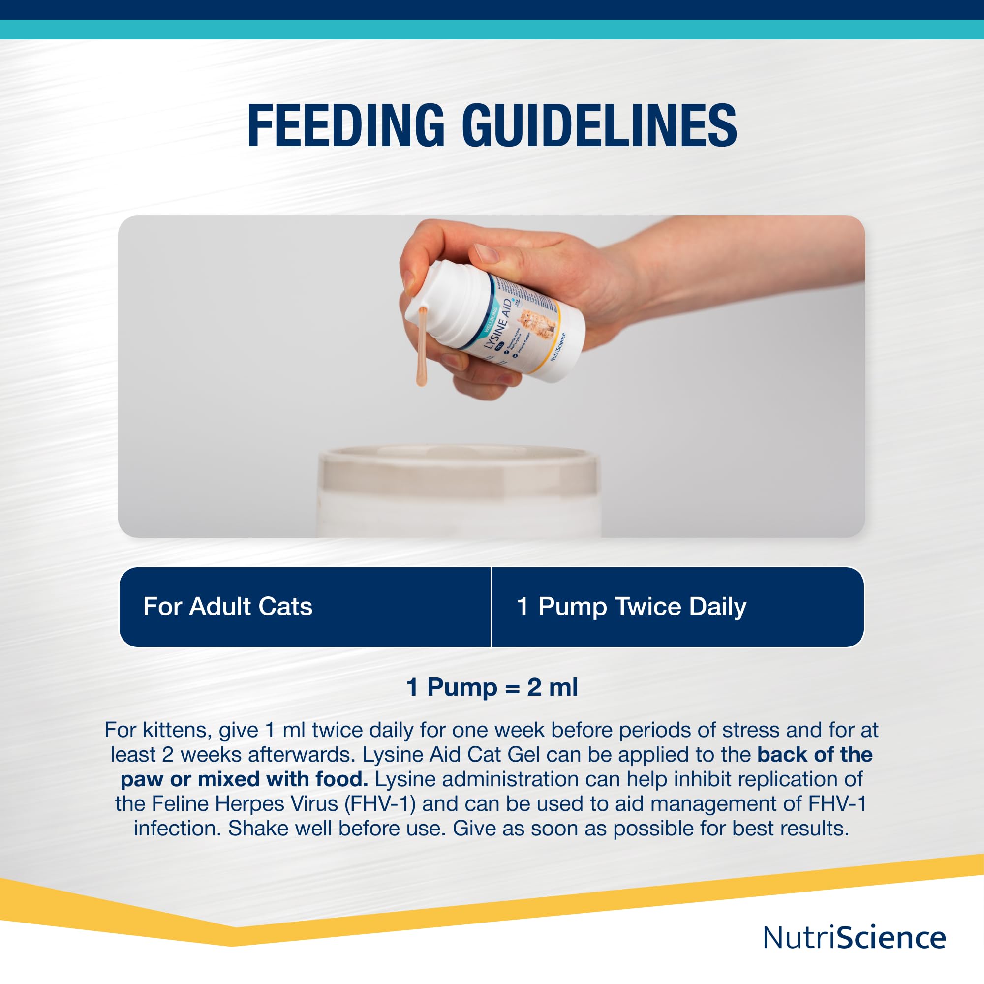 NutriScience Lysine Aid Cat Gel - Immune Support for FHV-1 Symptoms | 50ml 6