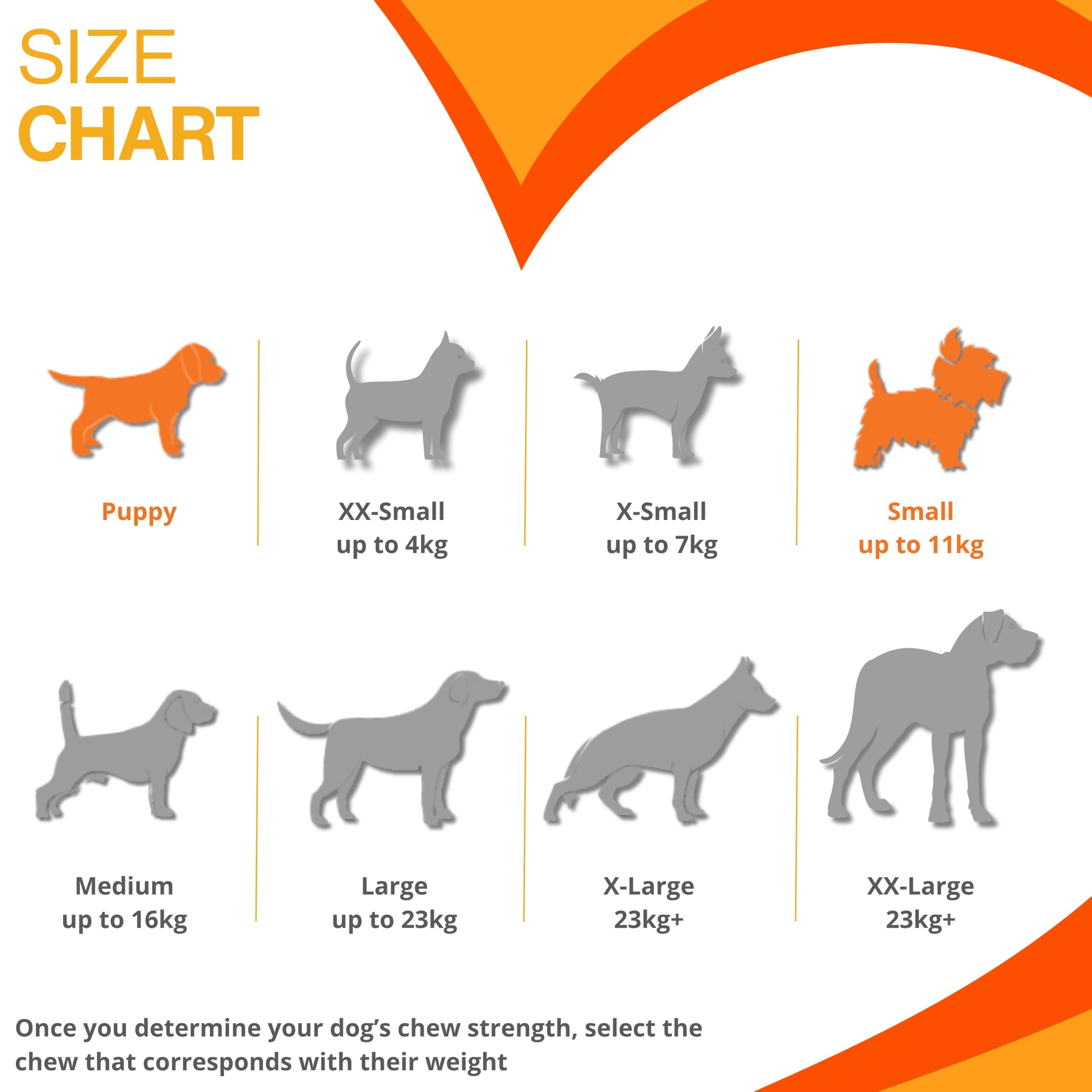 Nylabone Puppy Starter Kit - Pack of 3 Gentle Chew Toys for Puppies up to 11 kg 5