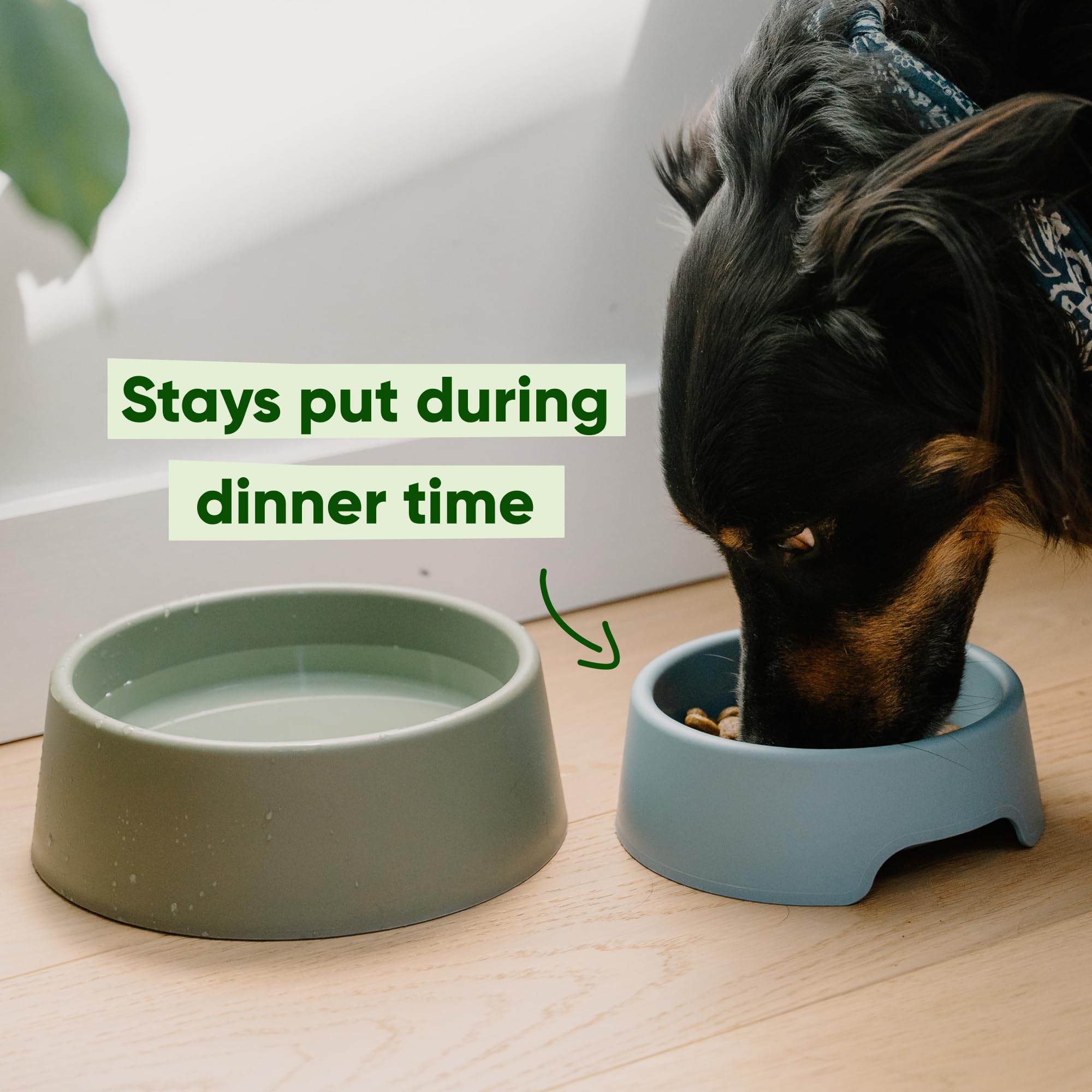 Beco Steady Dog Bowl - Non-Slip, Recycled Plastic, Small Size (Olive Green) 4