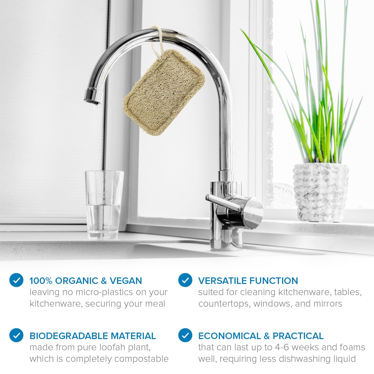 Joeji's Kitchen - Pack of 8 Natural Eco Dishwasher Sponges 14