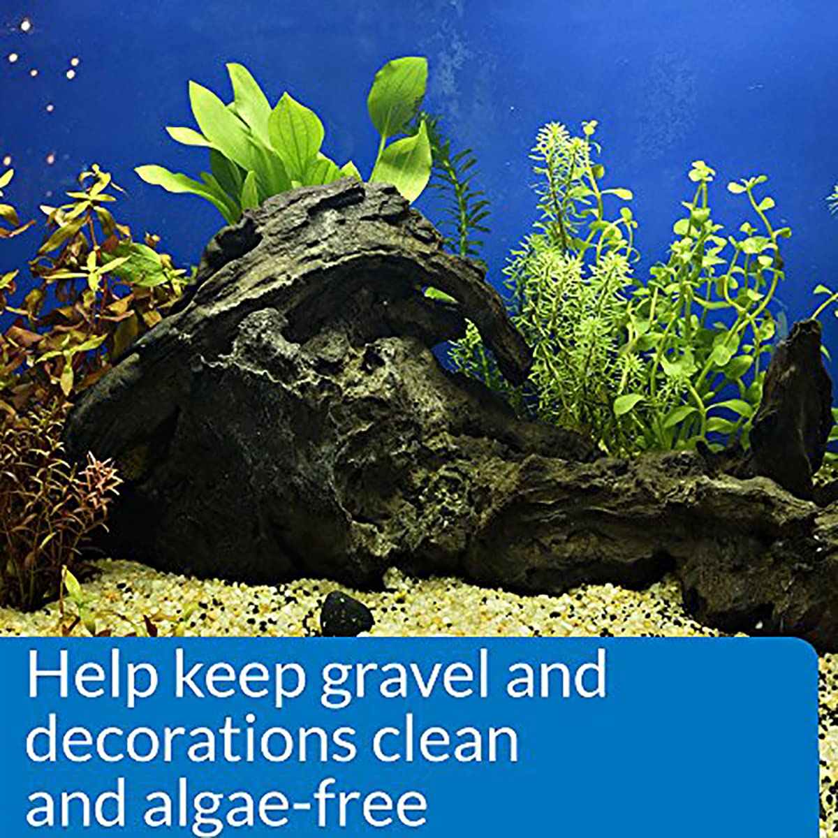 API STRESS ZYME Aquarium Cleaning Solution - Freshwater & Saltwater Use | 237 ml Liquid 4