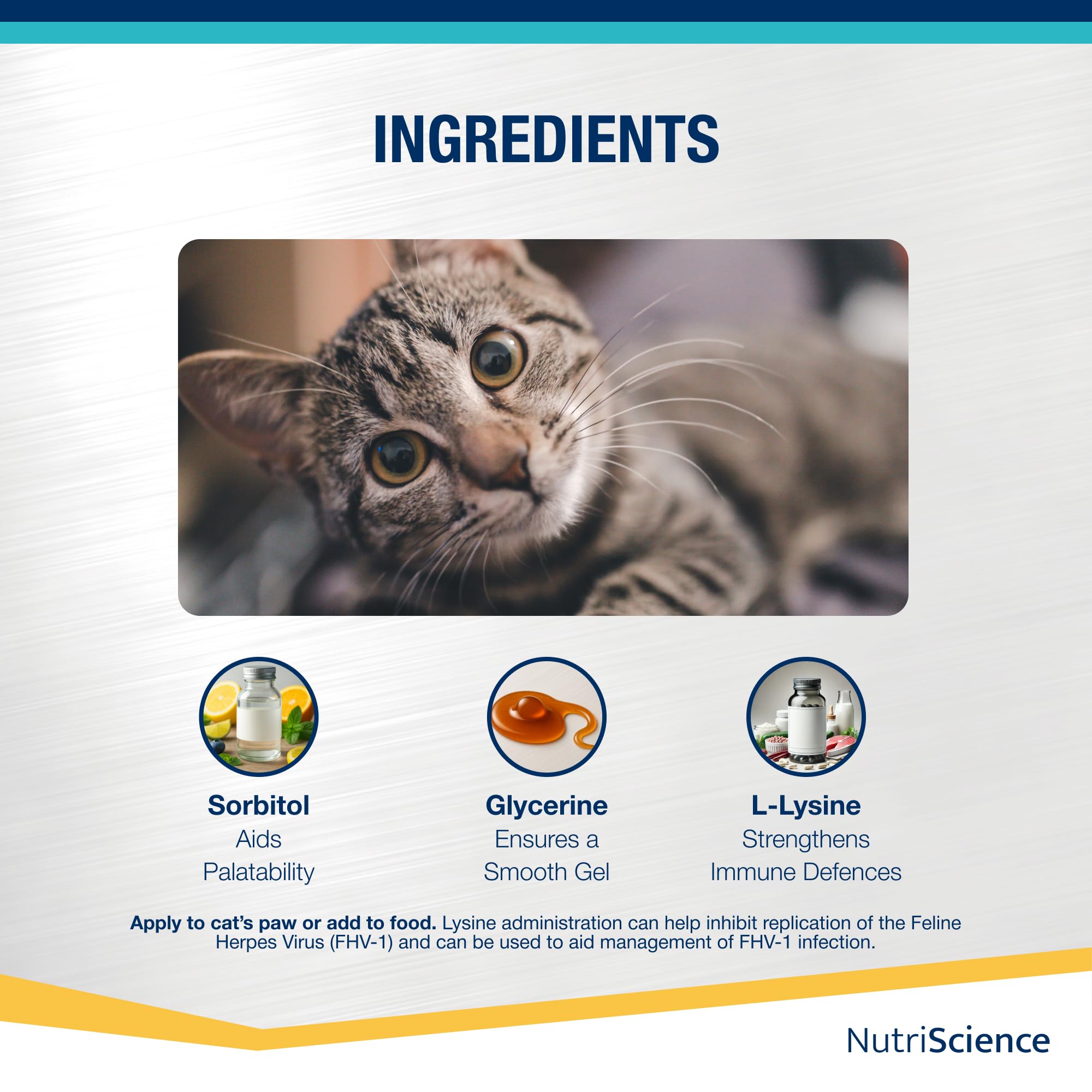 NutriScience Lysine Aid Cat Gel - Immune Support for FHV-1 Symptoms | 50ml 5