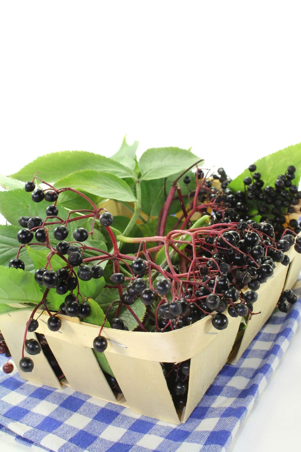 Health Embassy - Elderberry Dried Fruit (Sambucus nigra L) (50g) 10