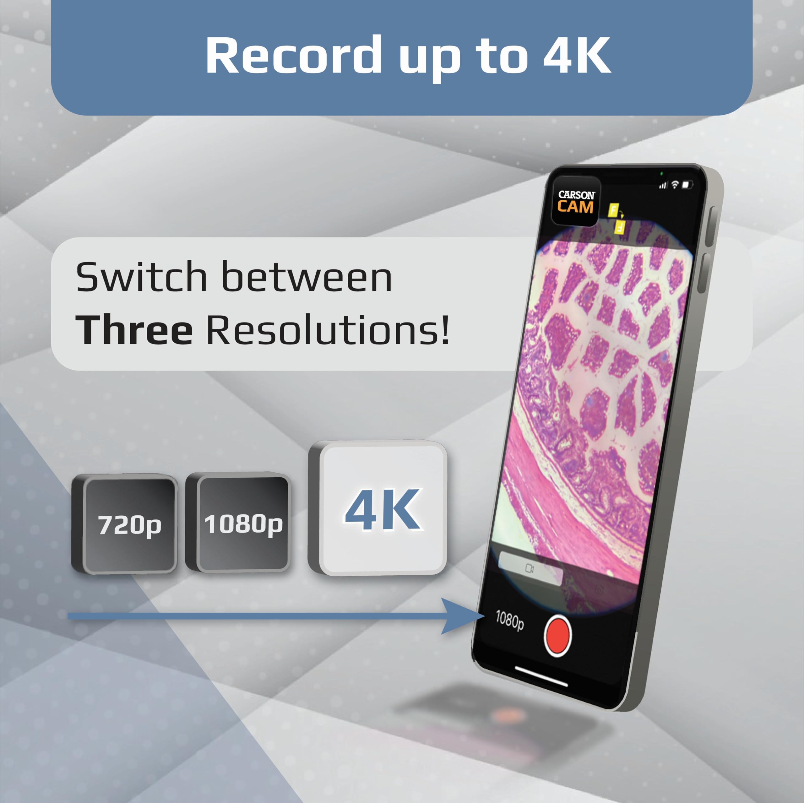 Carson MM-350 MicroBrite Pro Pocket Microscope with Smartphone Adapter 7