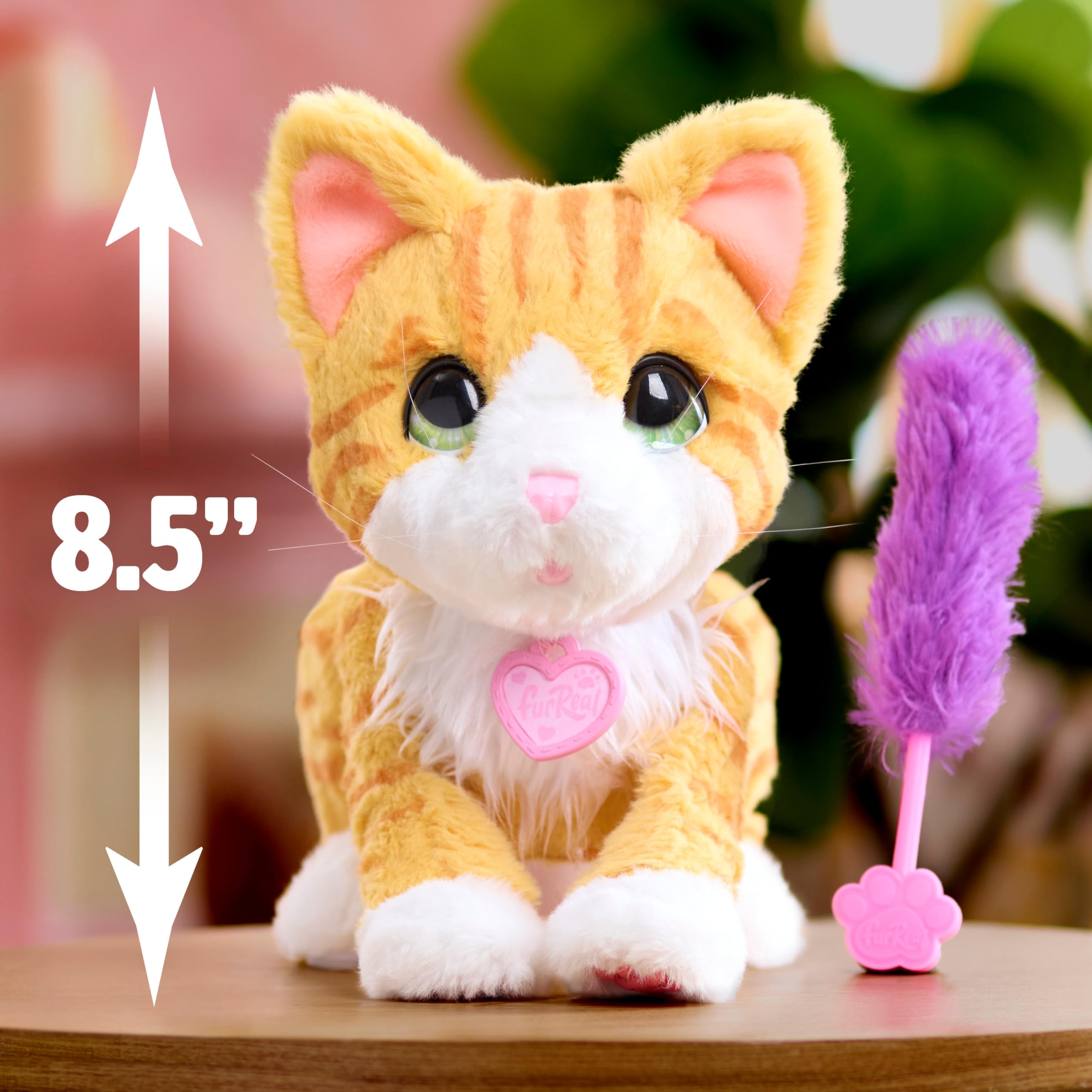 furReal Bella the Biscuit-Making Kitty - Interactive Plush Cat Toy for Kids 4+ 2