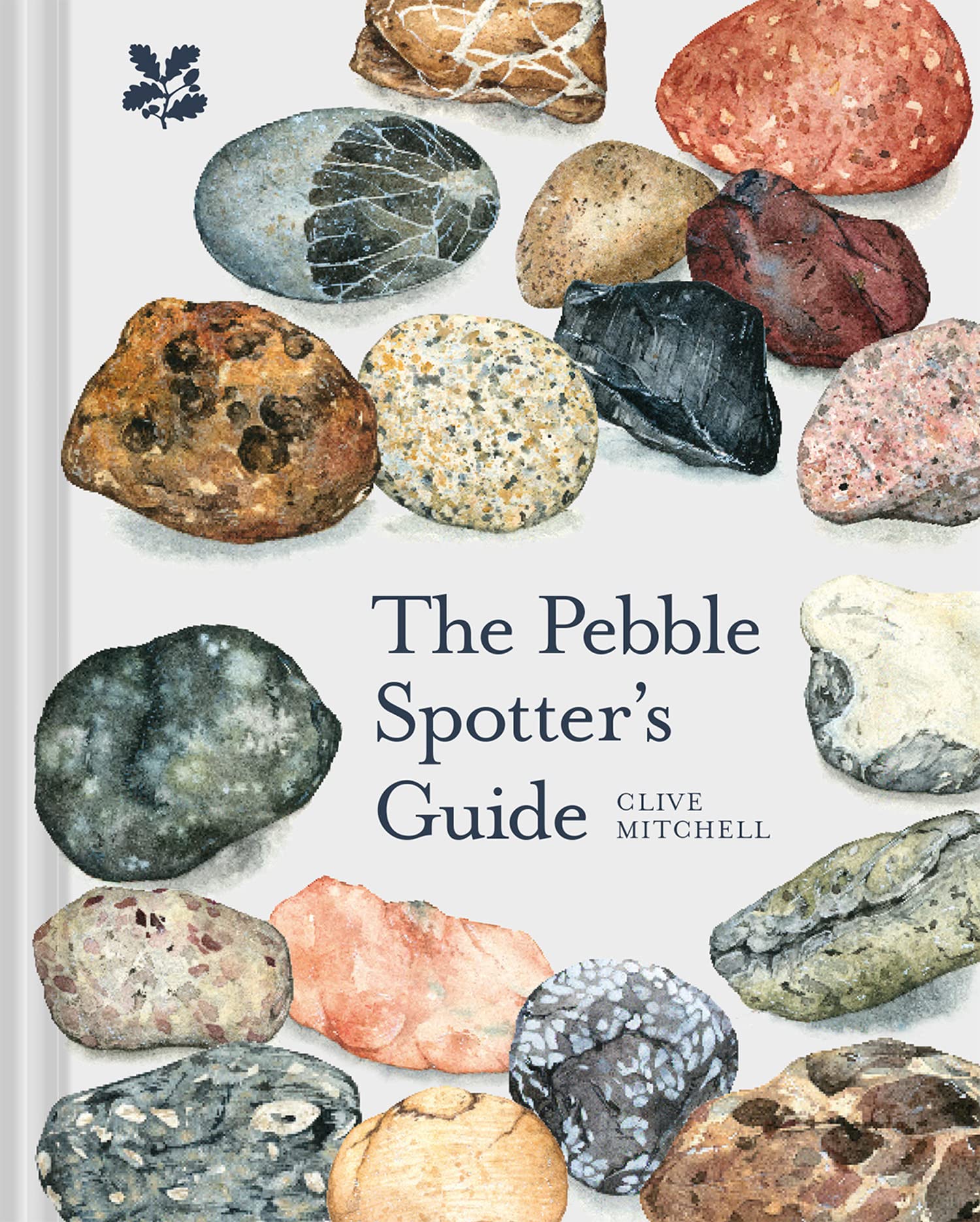 National Trust Books The Pebble Spotter's Guide - Historical Geology Identification | 112 Pages | Hardcover 1