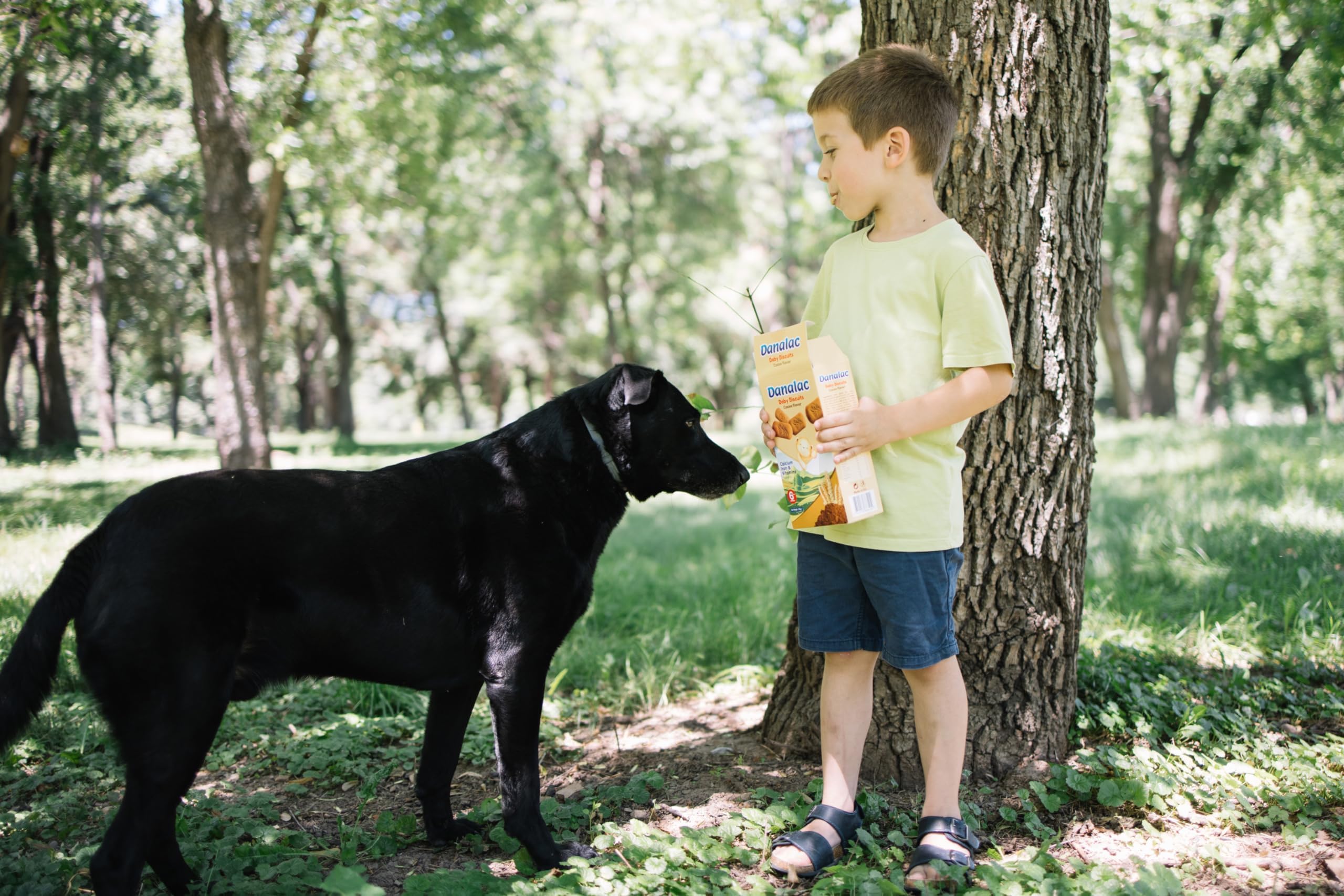 Danalac Cocoa Baby Biscuits 120g - Finger Food Snack for Toddlers 6+ Months 3