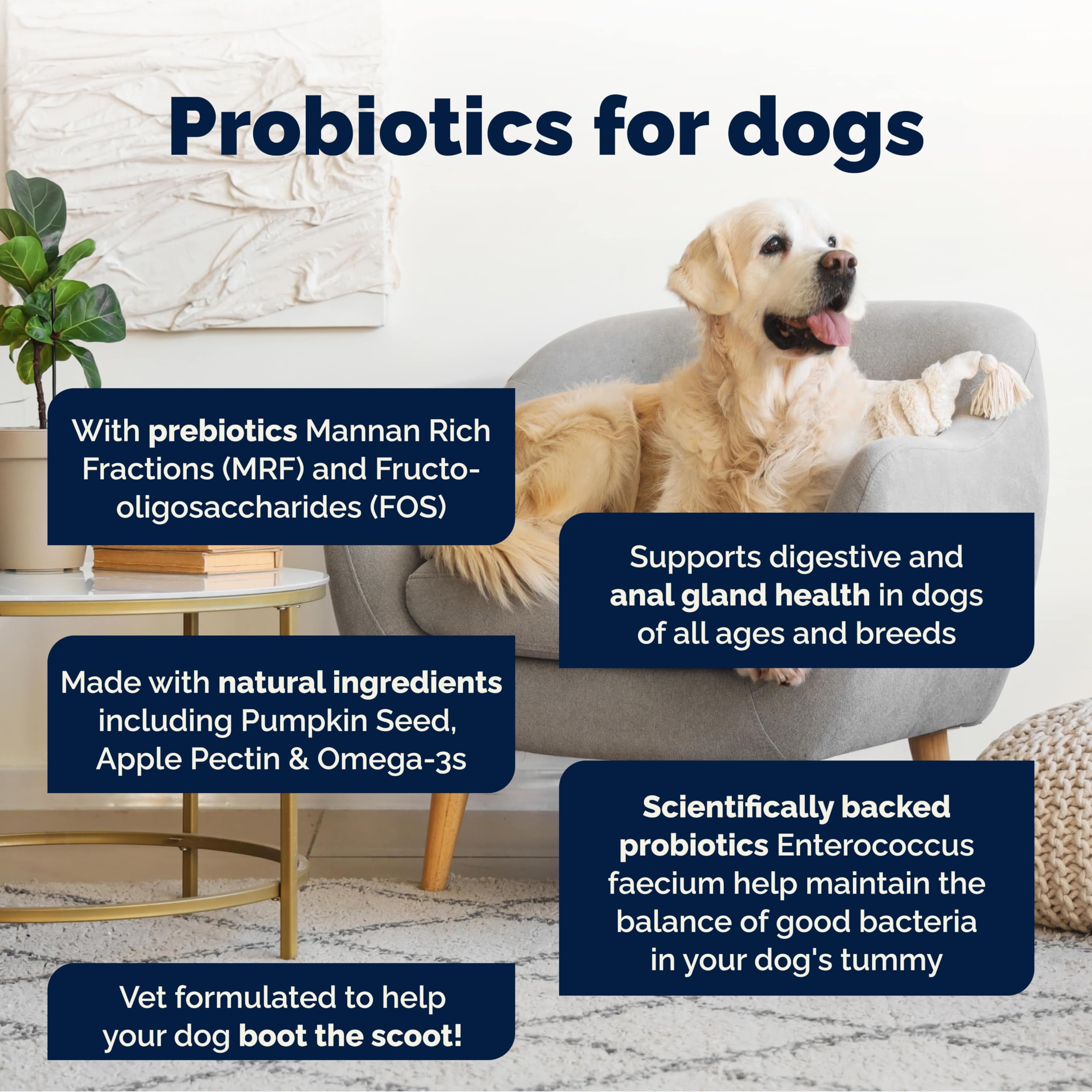 Vetnique Glandex For Dogs UK - 30 Soft Chews | Anal Gland Support | Chicken Flavour