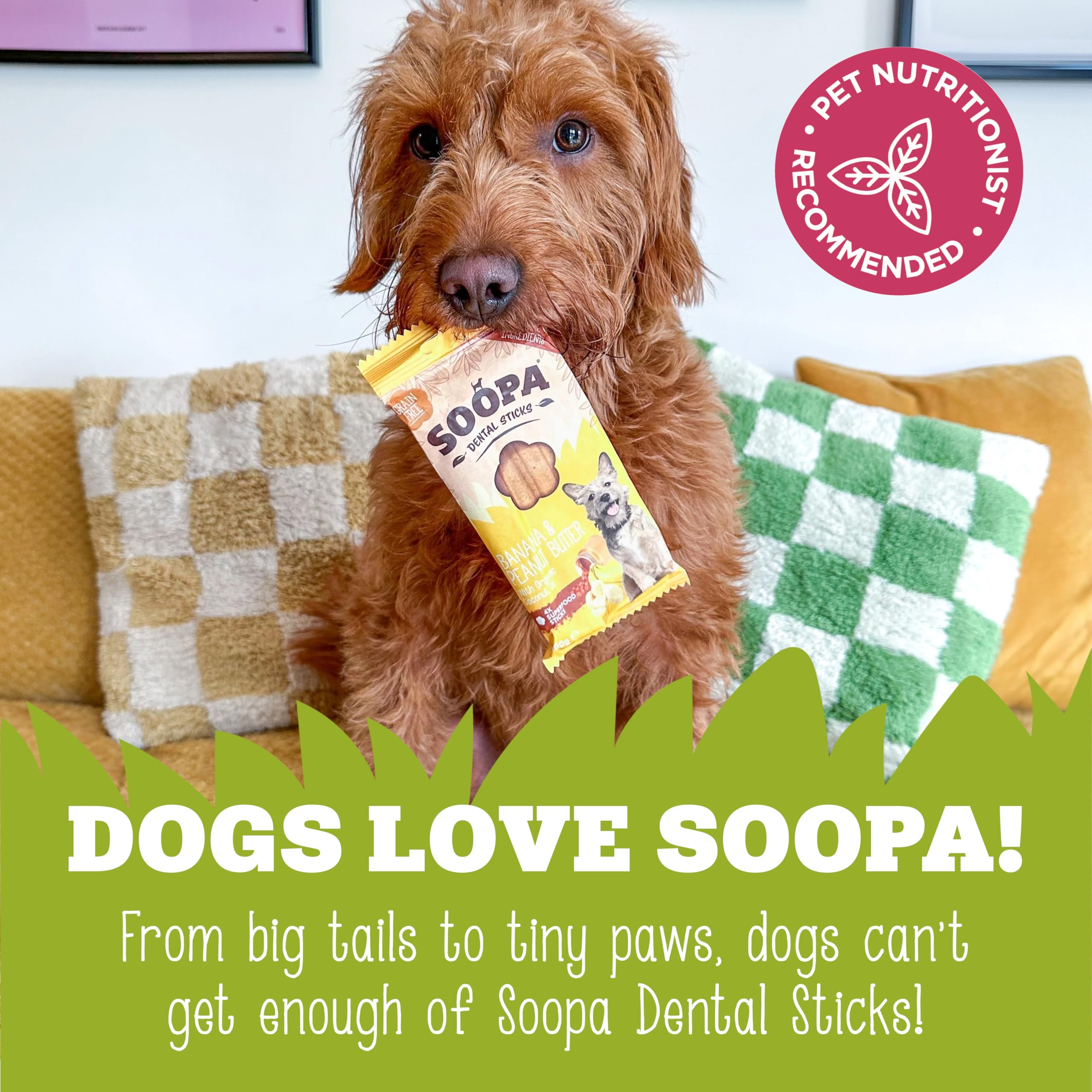 Soopa Strawberry Dog-Quiri Dental Sticks - 100g | Hypoallergenic | Adult Dogs 6