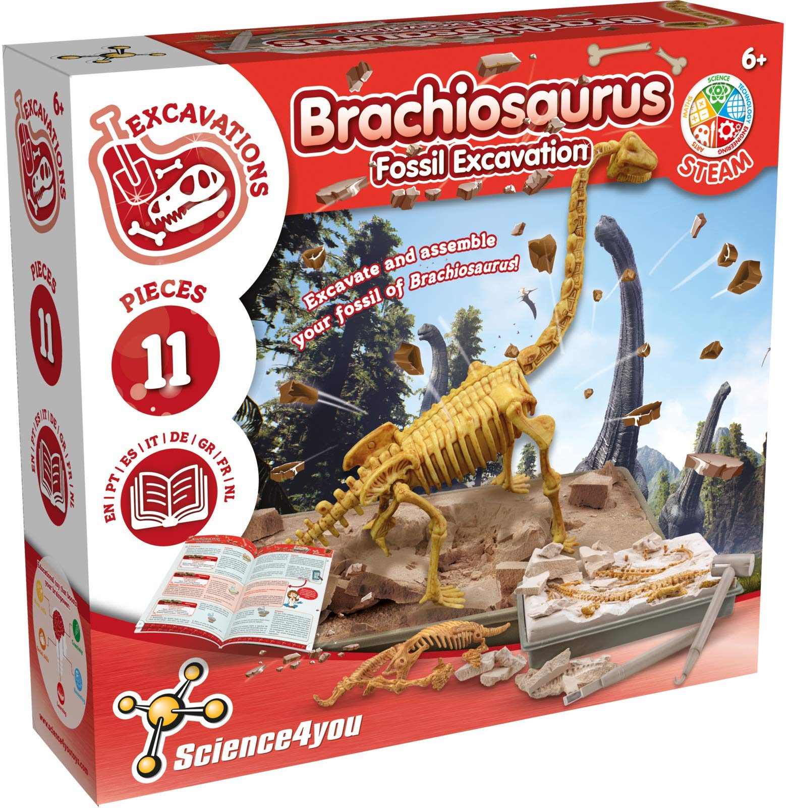 T Rex Fossil Hunting Kit - Excavate & Assemble 15-Piece Dinosaur Fossil - Science4you Age 6+