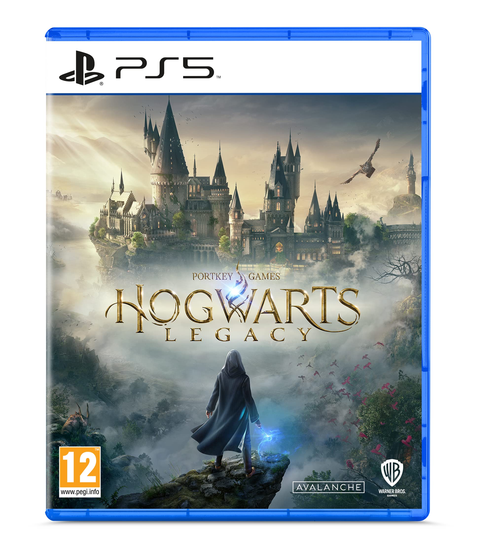 Hogwarts Legacy - PS5 8