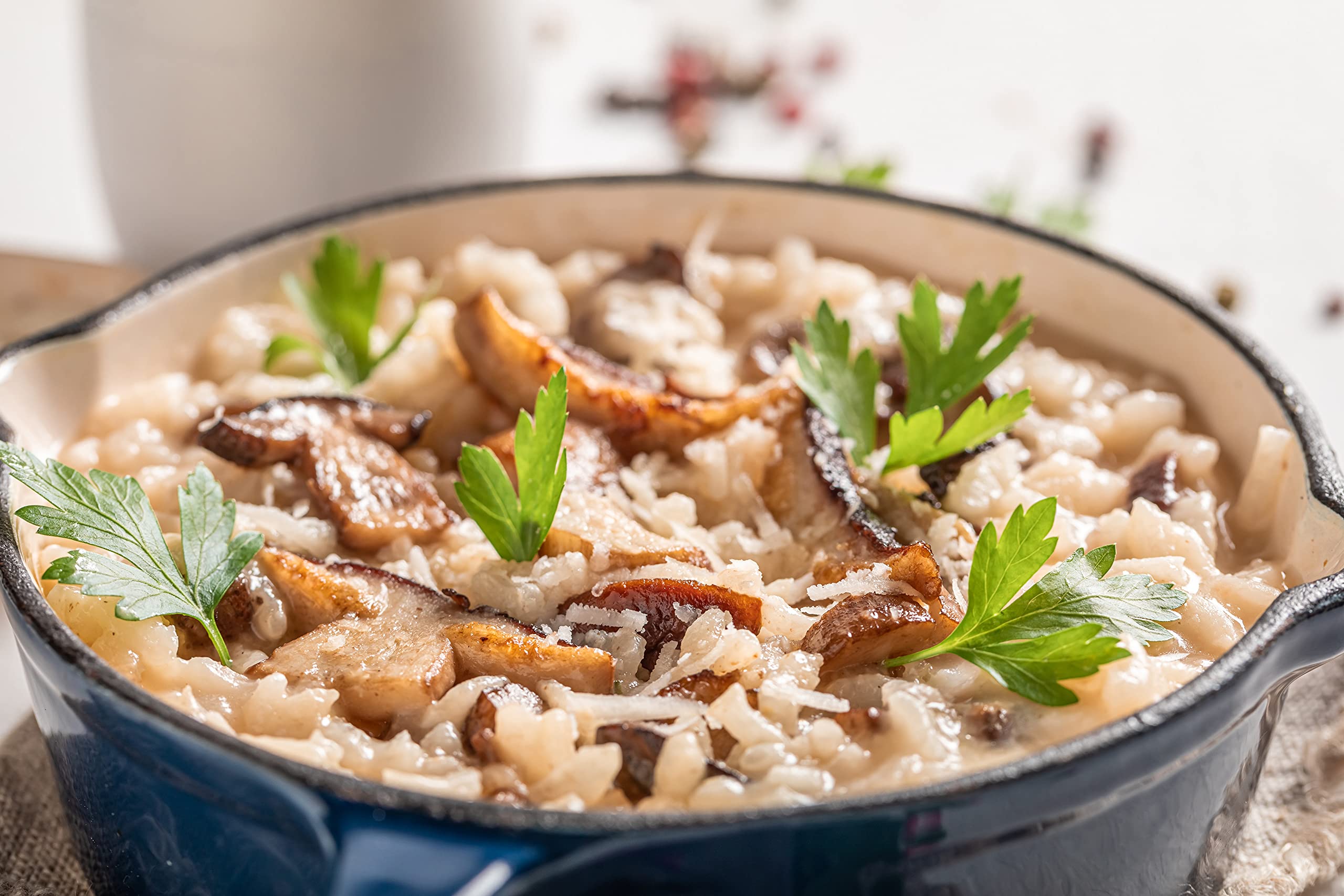 Emma Basic Dried Porcini Mushrooms 45g 3
