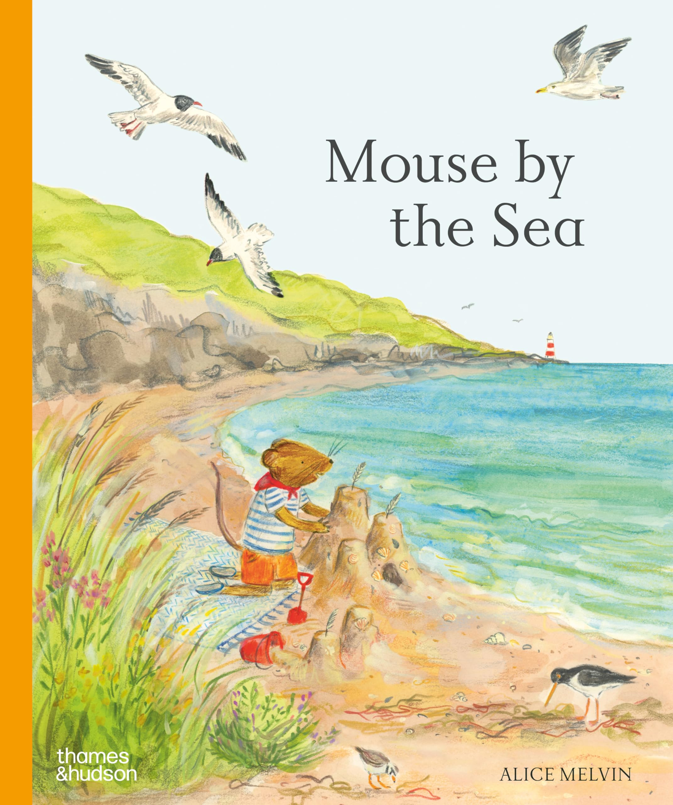 Alice Melvin Mouse's Adventures Mouse by the Sea: A Holiday in Nature - Lift-the-Flap Hardcover Book 1
