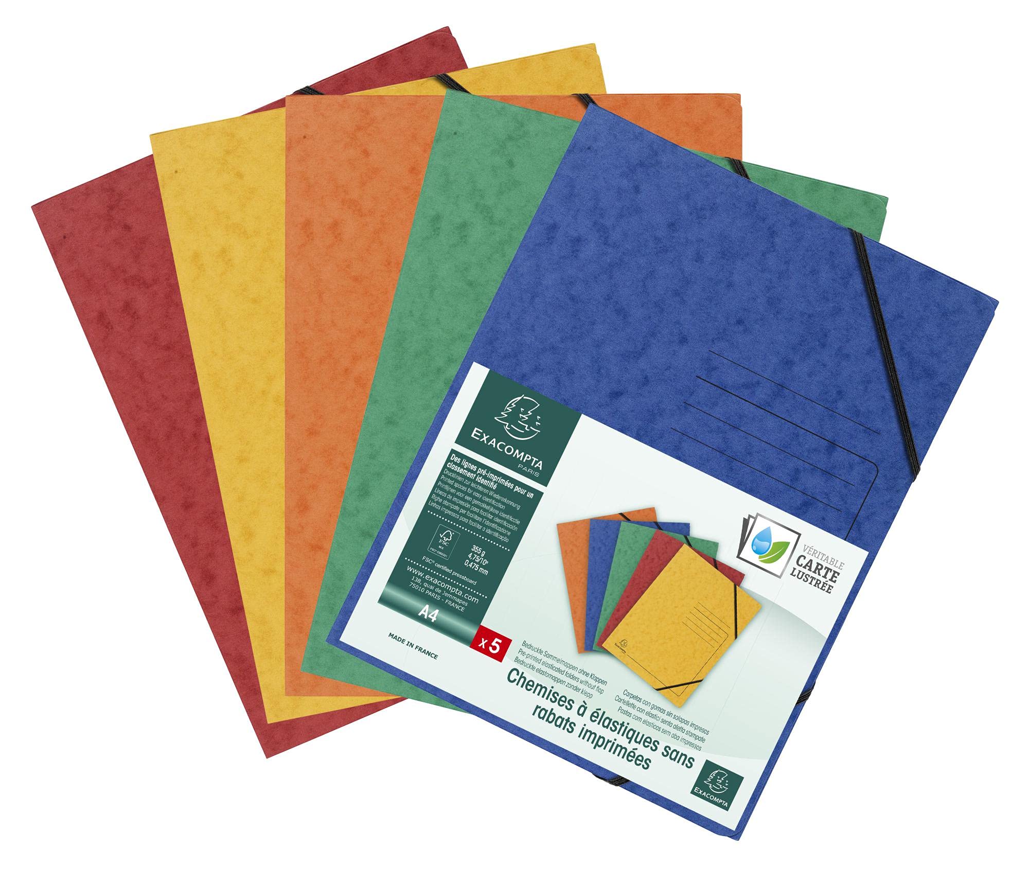 Exacompta Elasticated Folder - A4 Size, 240 x 320mm, Pack of 5 Assorted Colours | Ref 555410E