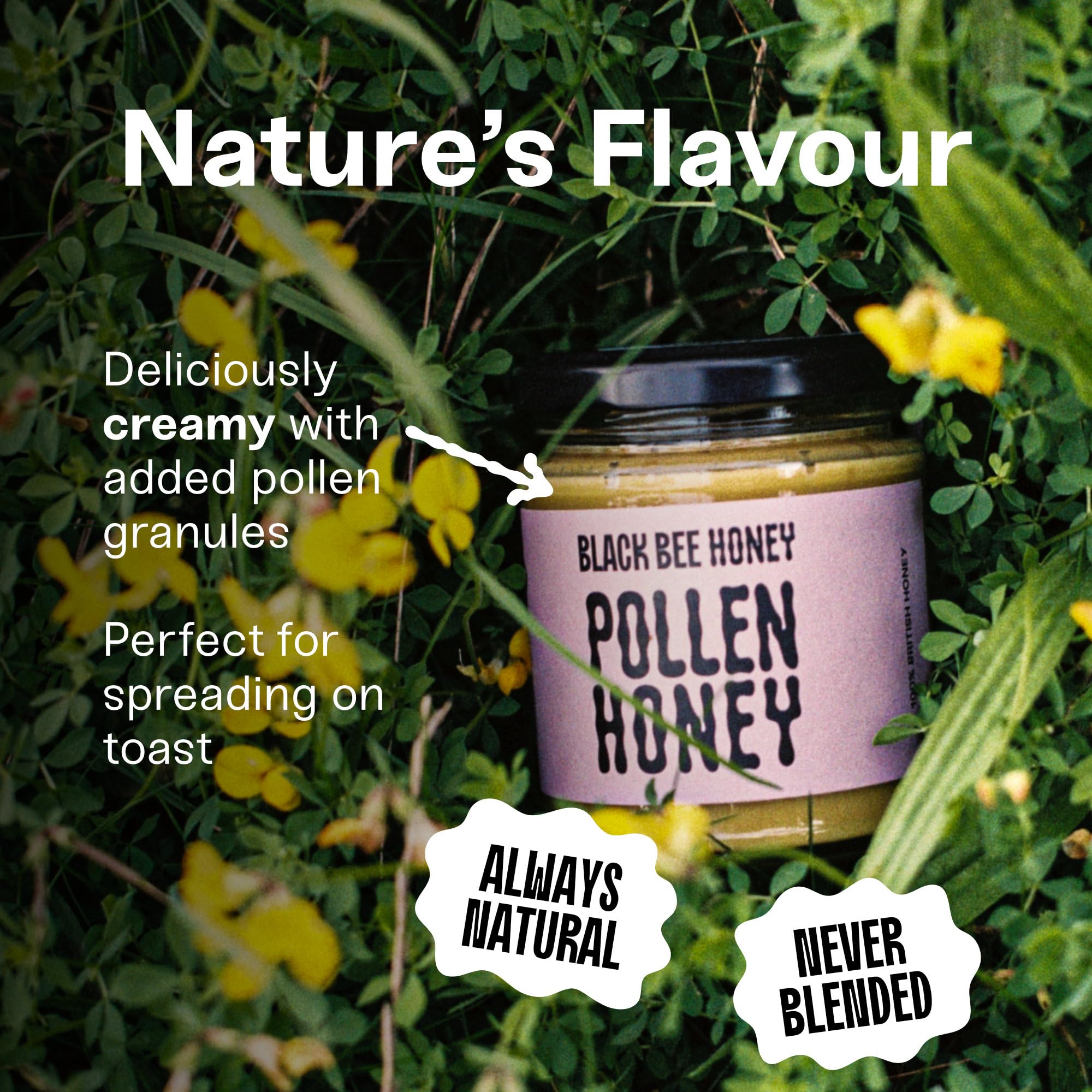 Black Bee Honey - Pure British Spring Honey with Bee Pollen Granules 3