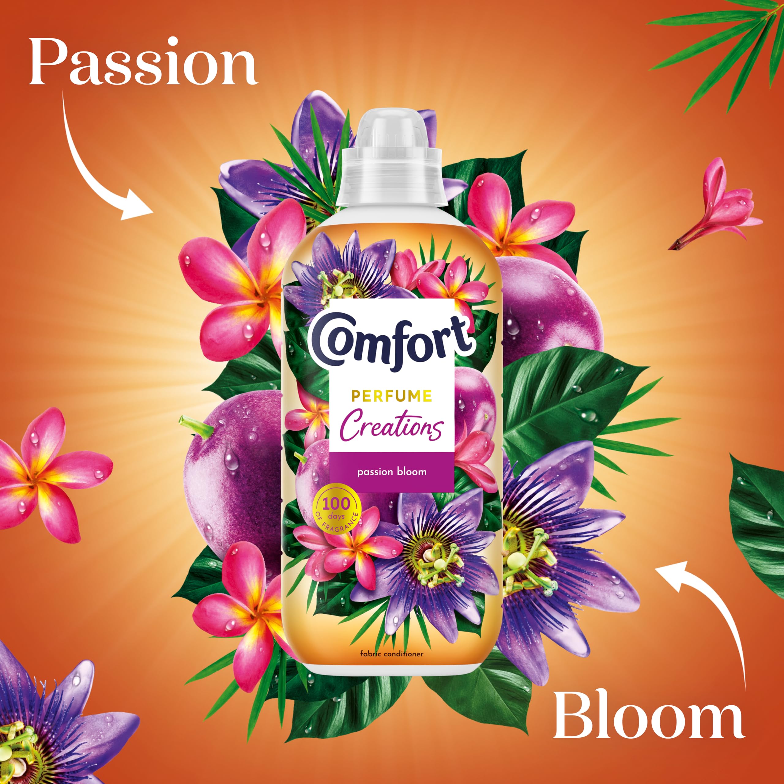 Comfort - Perfume Creations Passion Bloom Fabric Conditioner (1.42 kg) 2