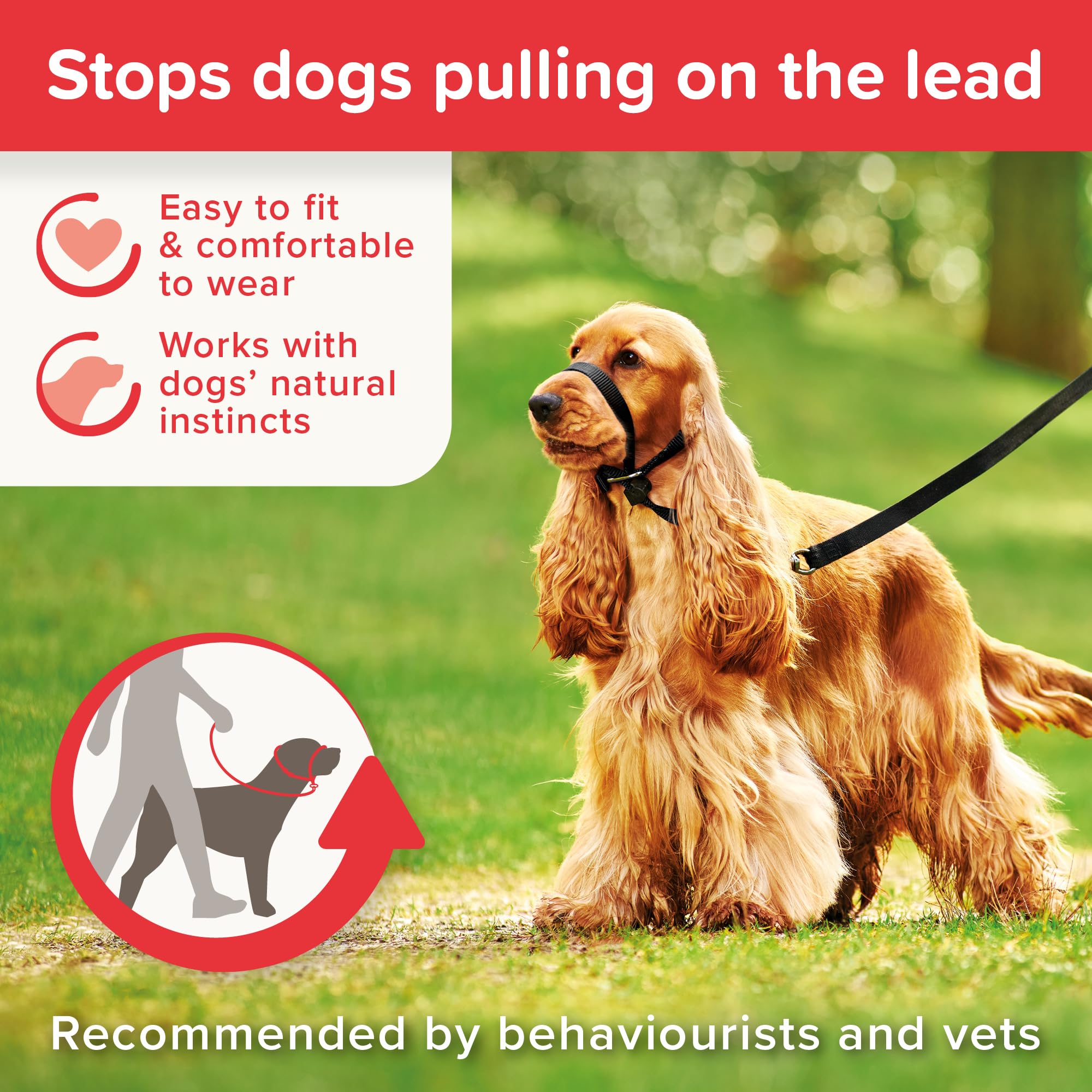 Beaphar Gentle Leader Head Collar - Medium Dog Training Aid | Stops Pulling | Black Nylon 5