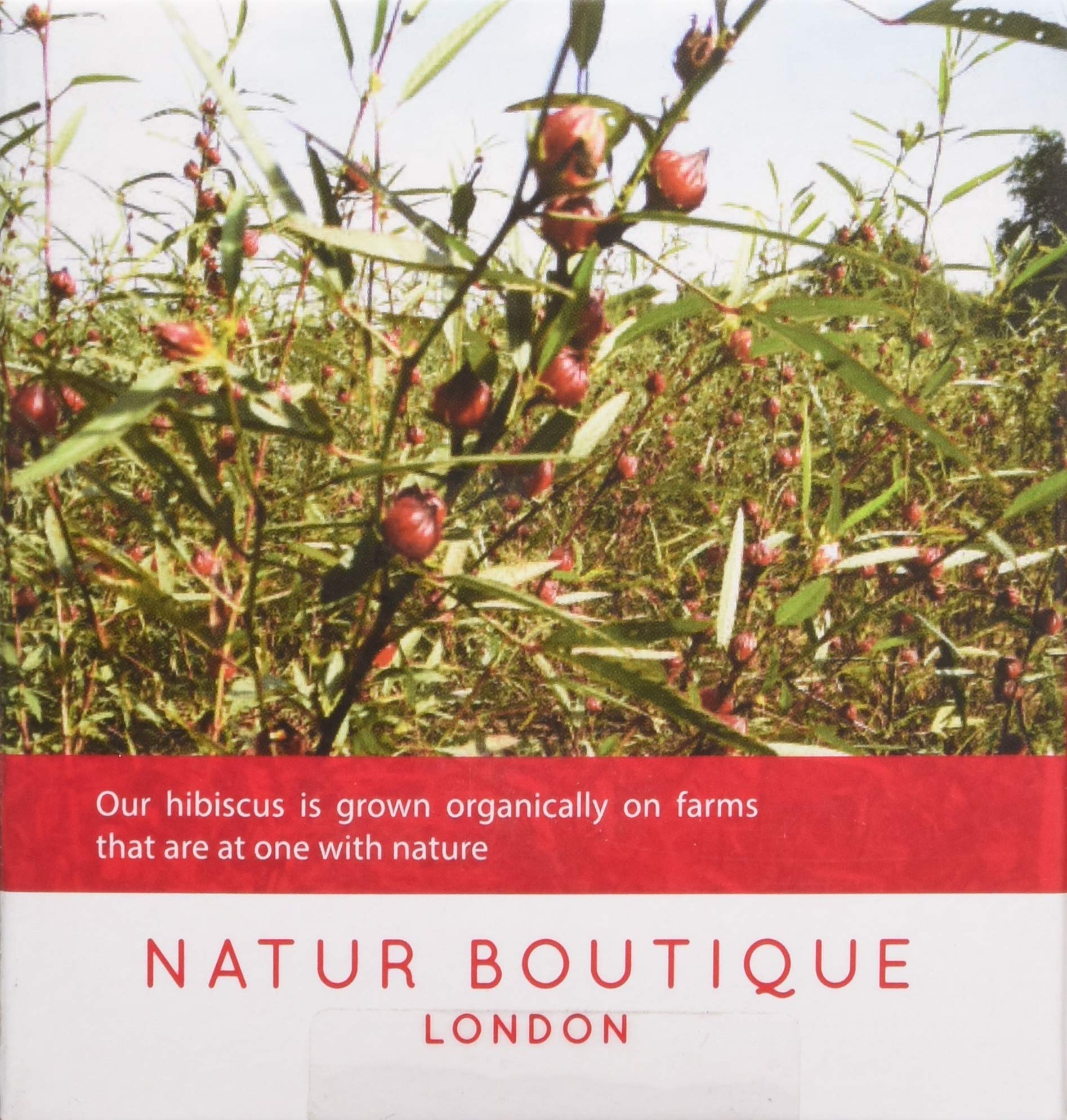 Natur Boutique Organic Hibiscus Tea - Pure Single Ingredient | 20 Sachets, 30g 2