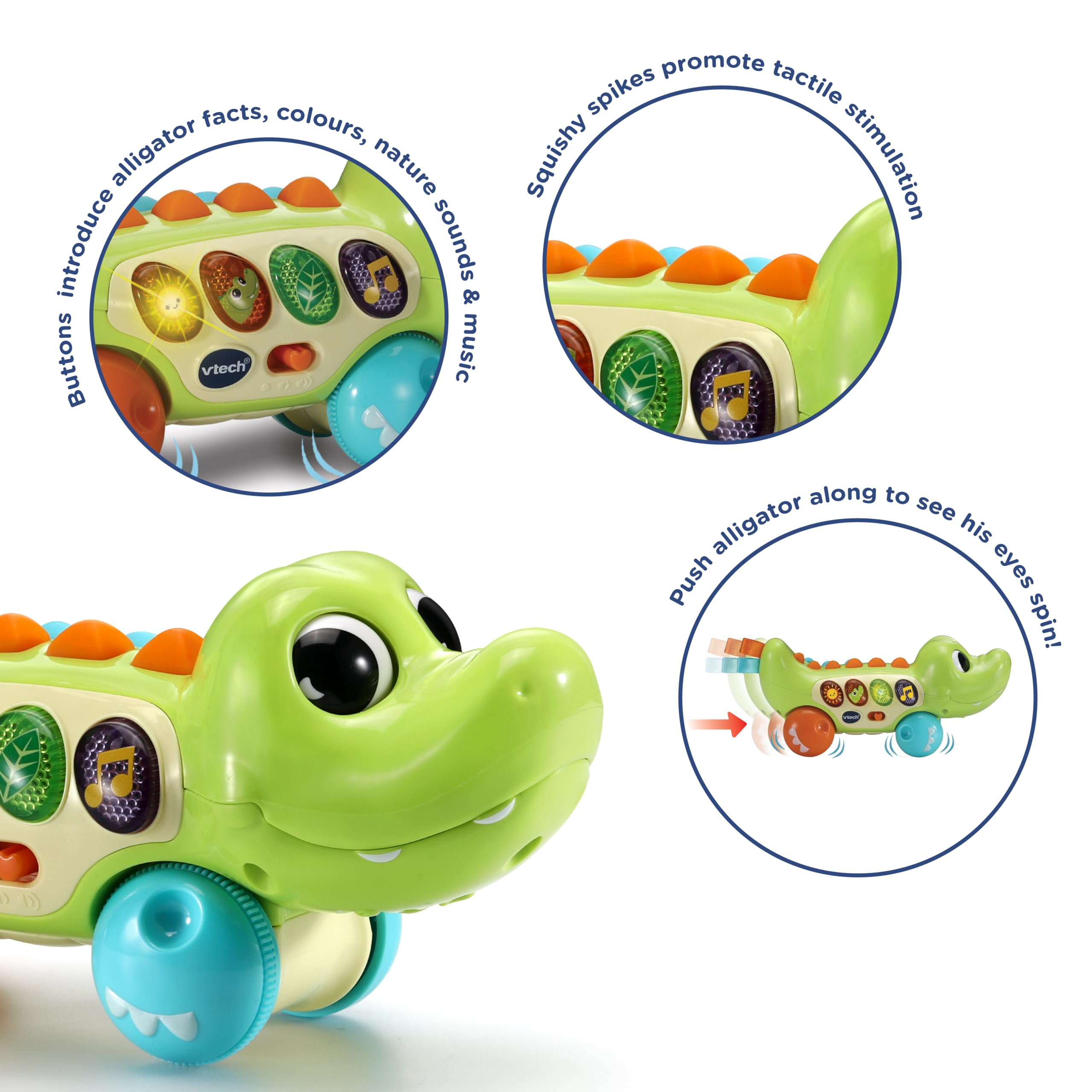 VTech Squishy Spikes Alligator - Interactive Push Along Toy for 6 Months+ 4