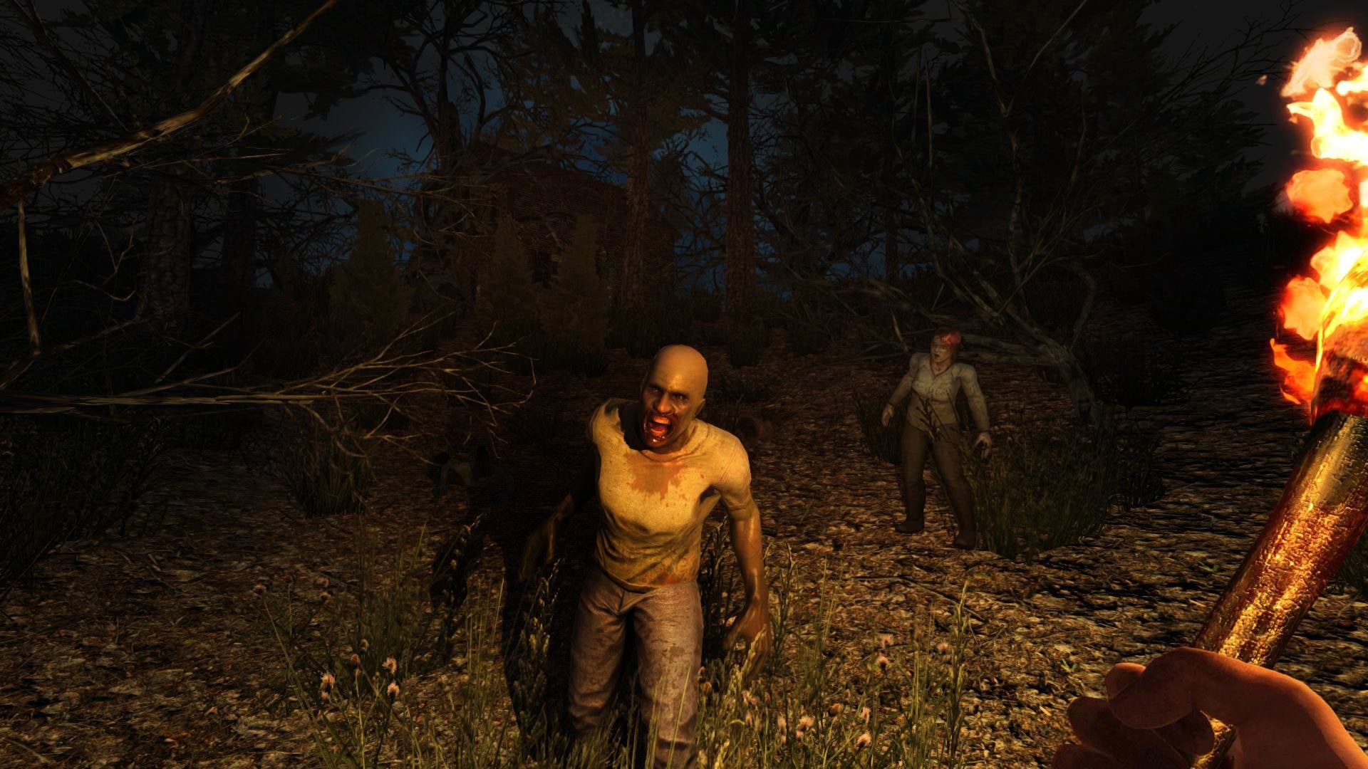 7 Days to Die - PlayStation 4 Standard Edition 5