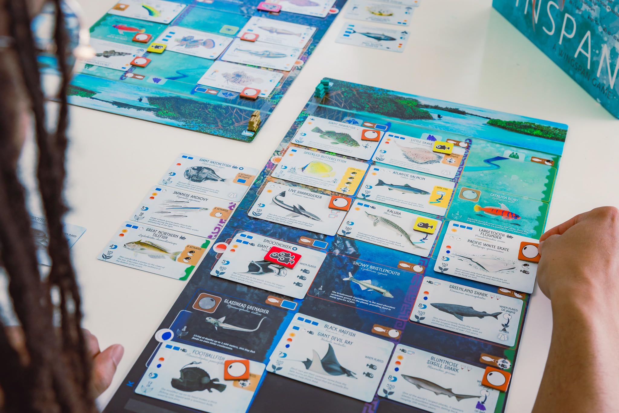 Stonemaier Games Finspan Board Game | Ages 10+ | 1-5 Players | 45-60 Minutes 5