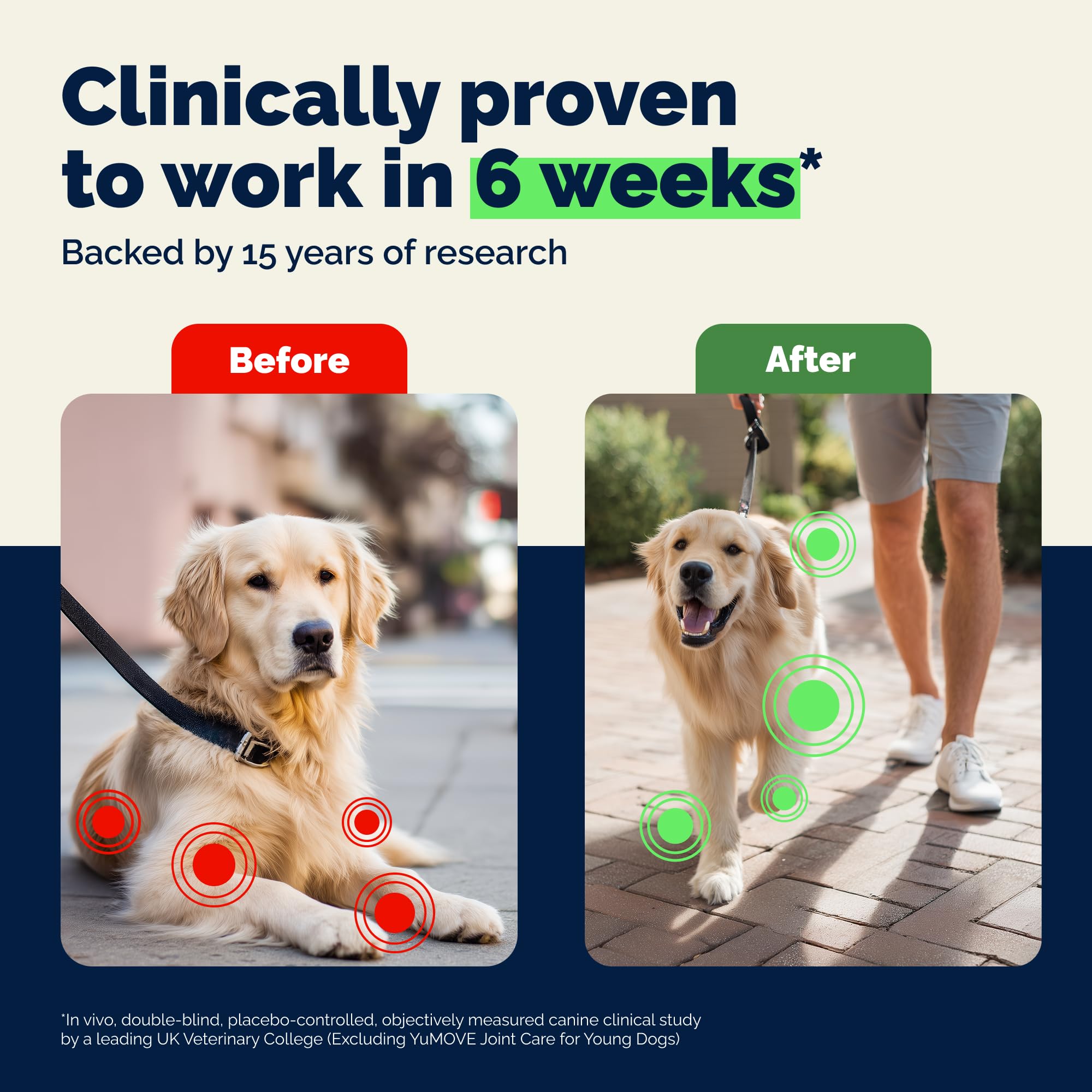 YuMOVE Joint Supplement for Dogs - 60 Tablets for Stiff Adult Dogs with Glucosamine & Green Lipped Mussel 3