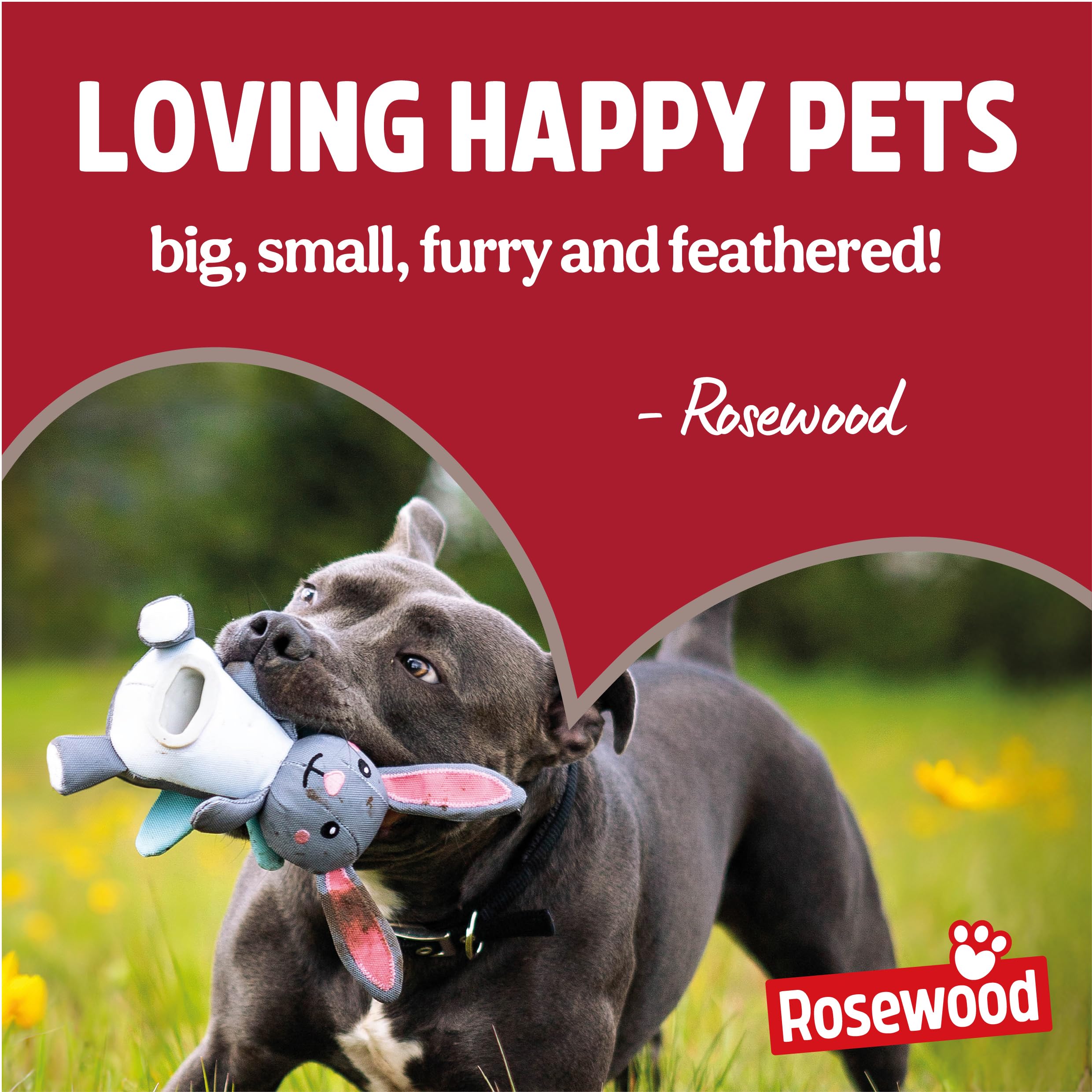 Rosewood Dog Poo Bags with Handles - 500 Bags | Vanilla Scented | Made with Recycled Plastic 8