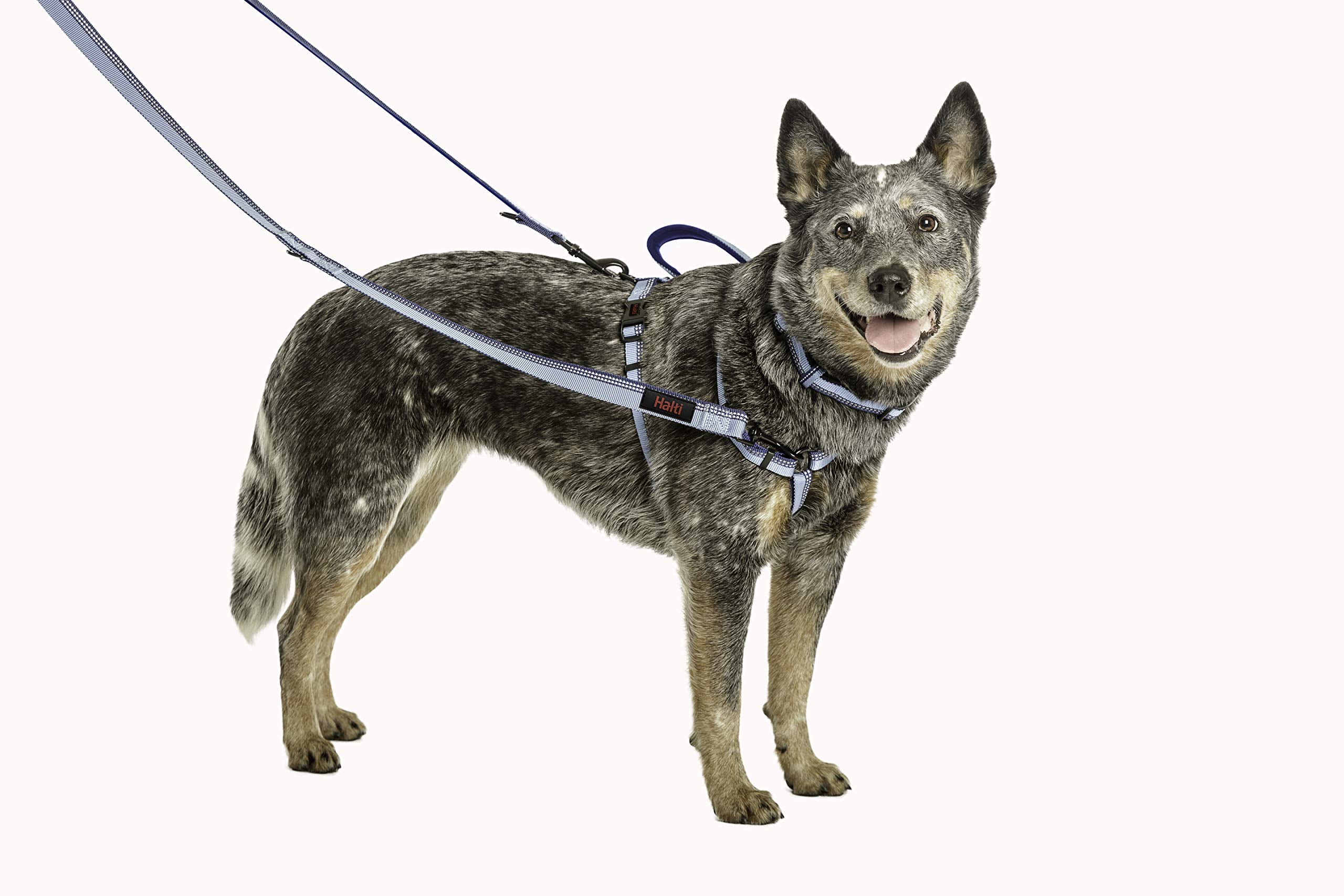 Halti Double-Ended Lead for Dogs - Hands Free Capable | Size Small (2m) | Purple