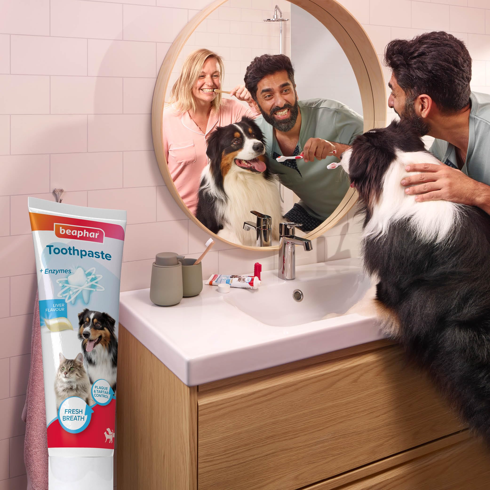 Beaphar Liver Flavour Toothpaste with Enzymes for Dogs & Cats | 100g | Fluoride & Xylitol Free 8