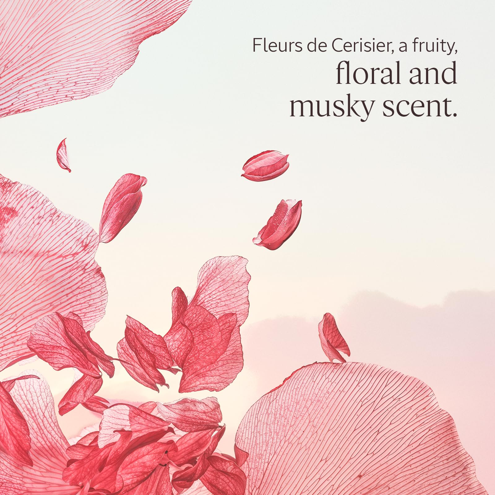 L'OCCITANE Cherry Blossom Shower Gel - Gentle Cleansing, Floral Scent, 500ml