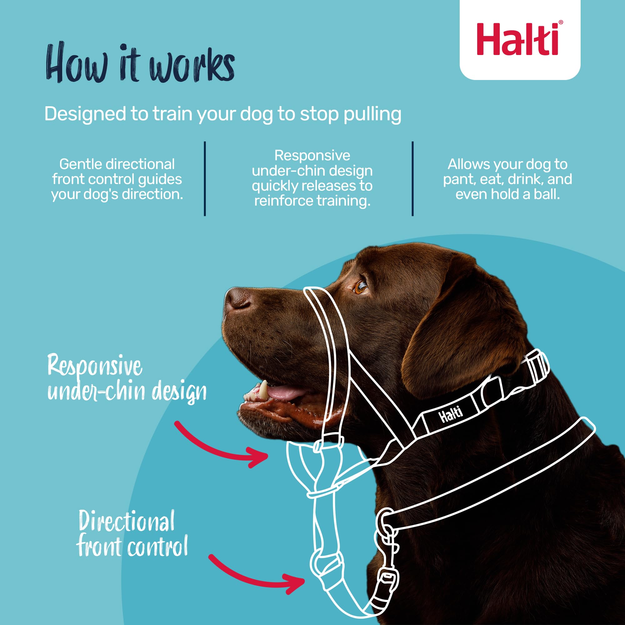 Halti Headcollar - Stop Pulling on Lead | Size 3 Black | Padded Nose Band | Reflective