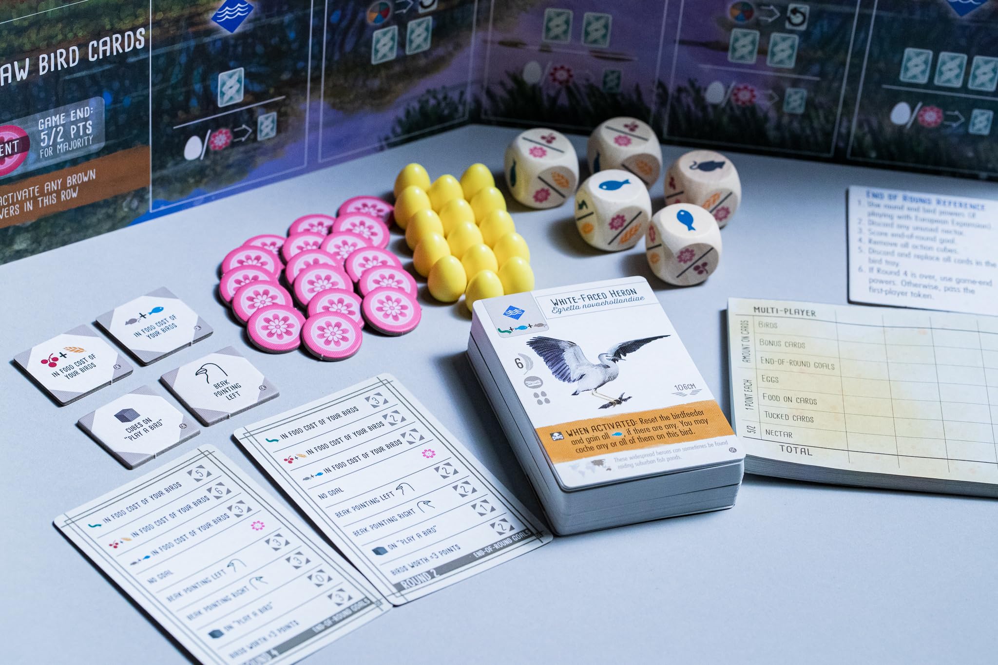 Stonemaier Games Wingspan: Oceania Expansion Board Game 8