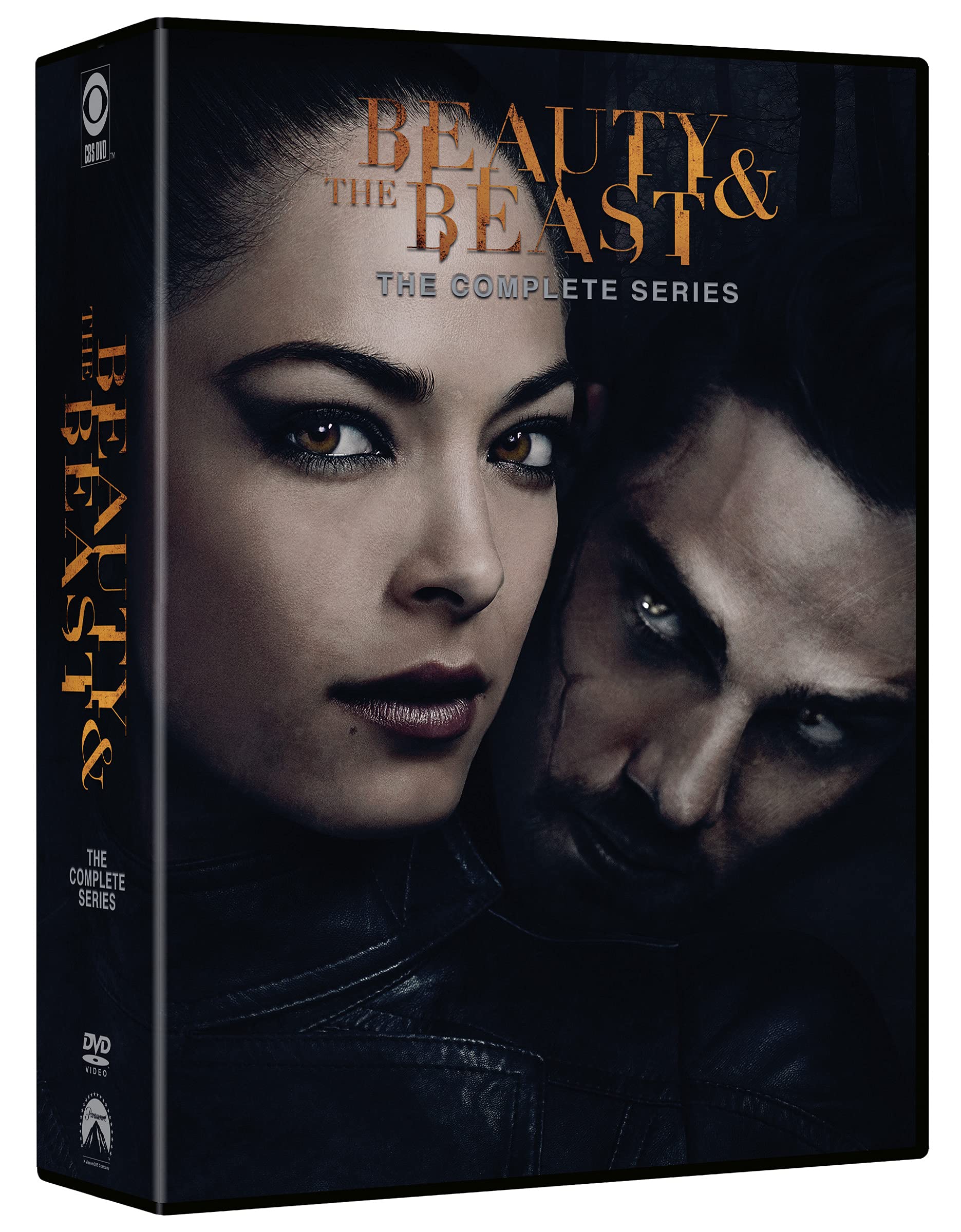 Beauty and the Beast: Seasons 1-4 [DVD] 2