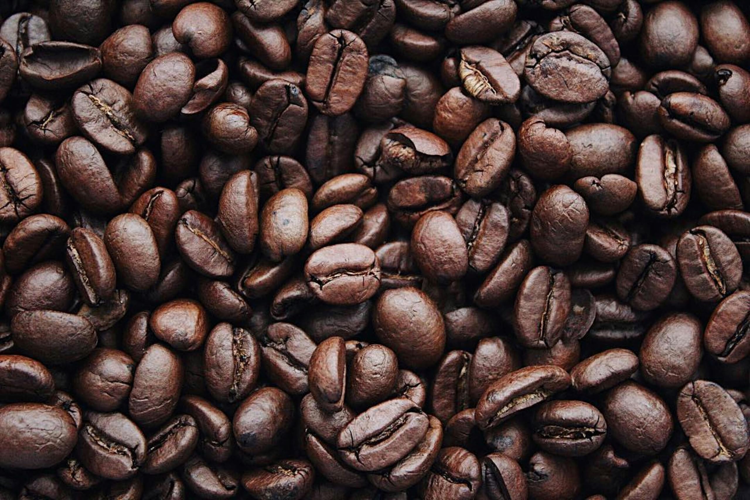 Miofino Pelican Rouge GRAND CLASSICO Whole Medium Roast Coffee Beans | 1kg 3