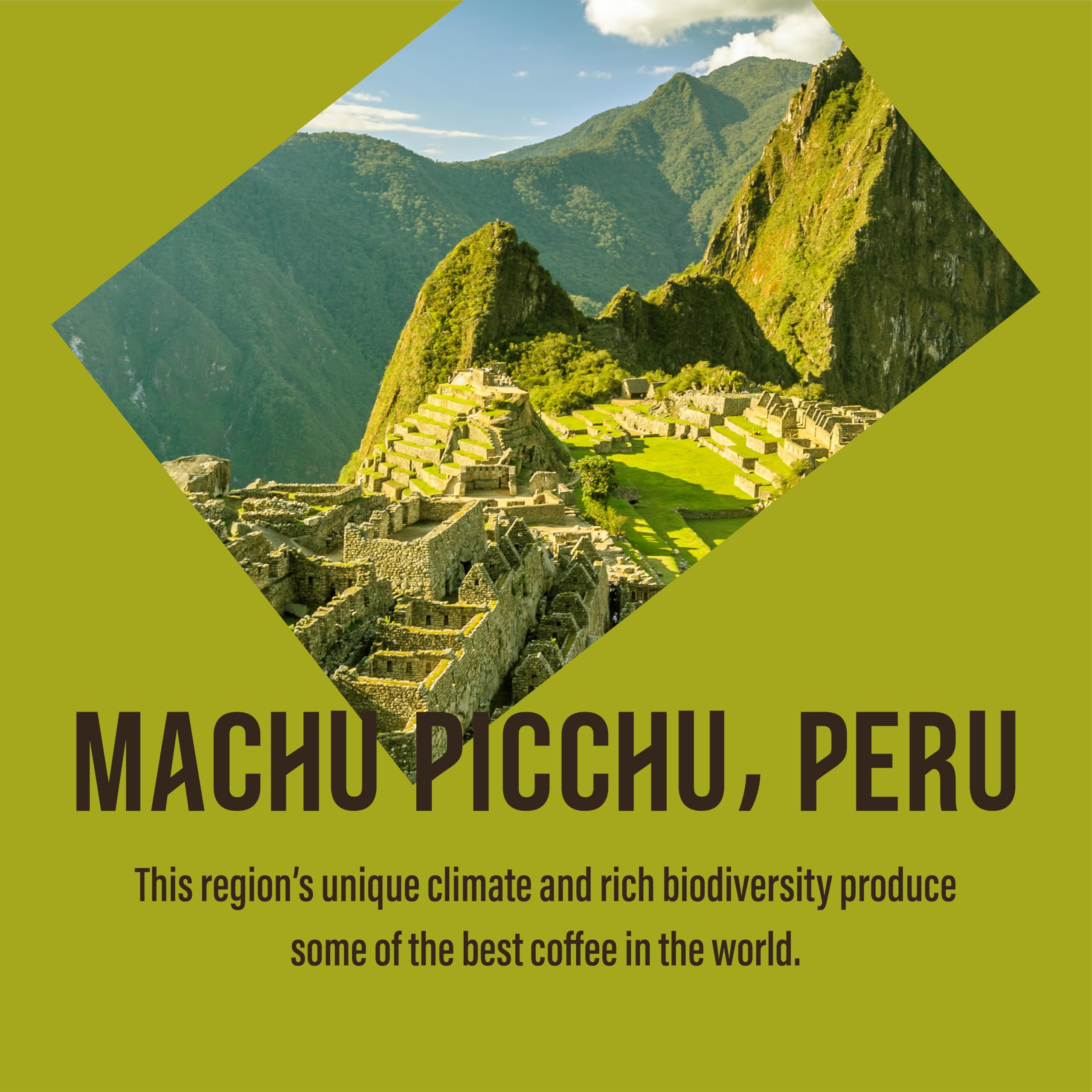Café Direct Fairtrade Machu Picchu Whole Bean Arabica Coffee, 227g (Pack of 6) 6