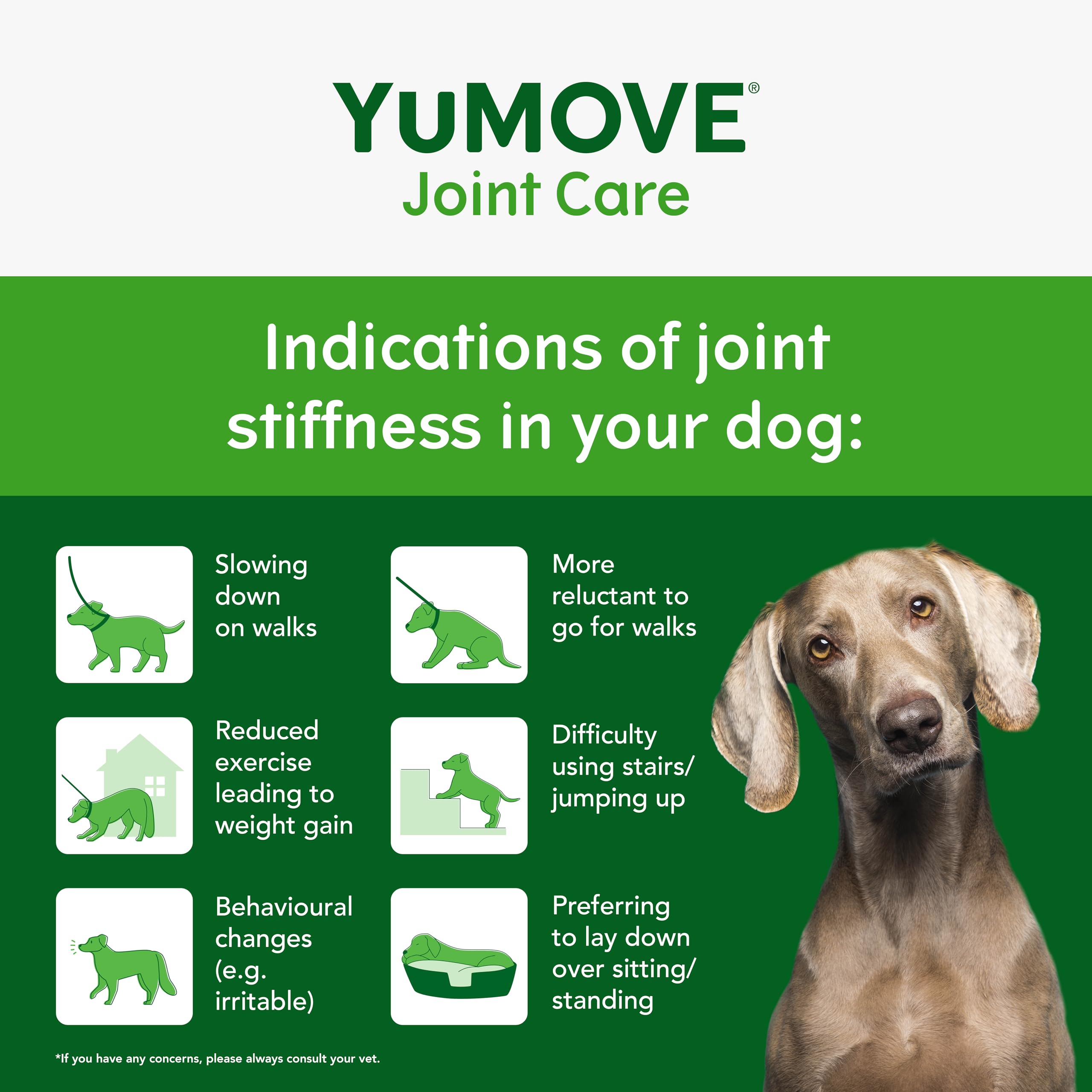 YuMOVE Joint Supplement for Adult Dogs - Daily Bites for Joint Care | 60 Chews 3