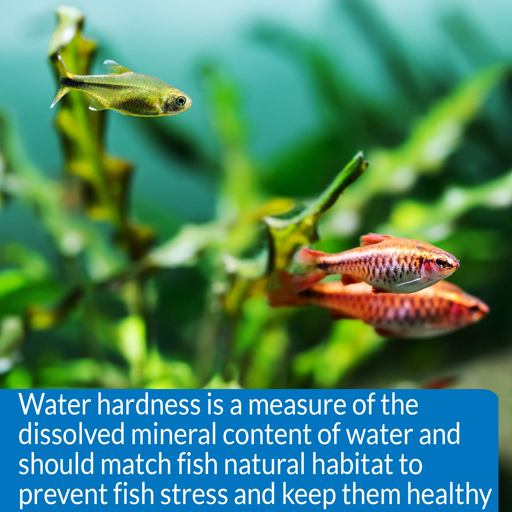 API GH & KH Test Kit for Freshwater Aquariums | Measures Water Hardness 5