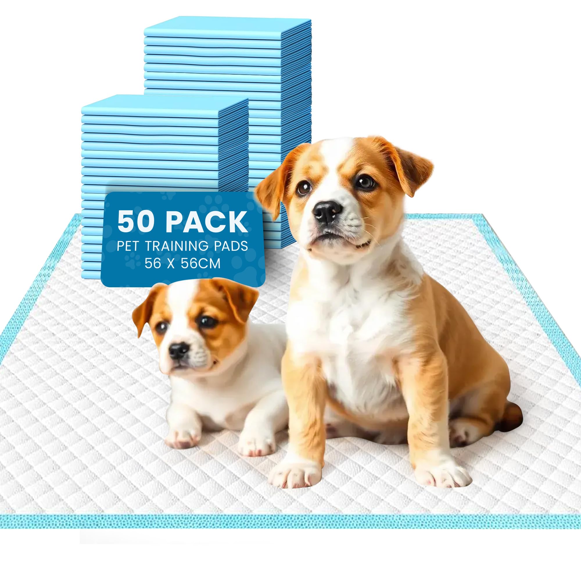 Cool Paws Puppy Training Pads - 50 Pack Medium Size 56 x 56cm Ultra-Absorbent