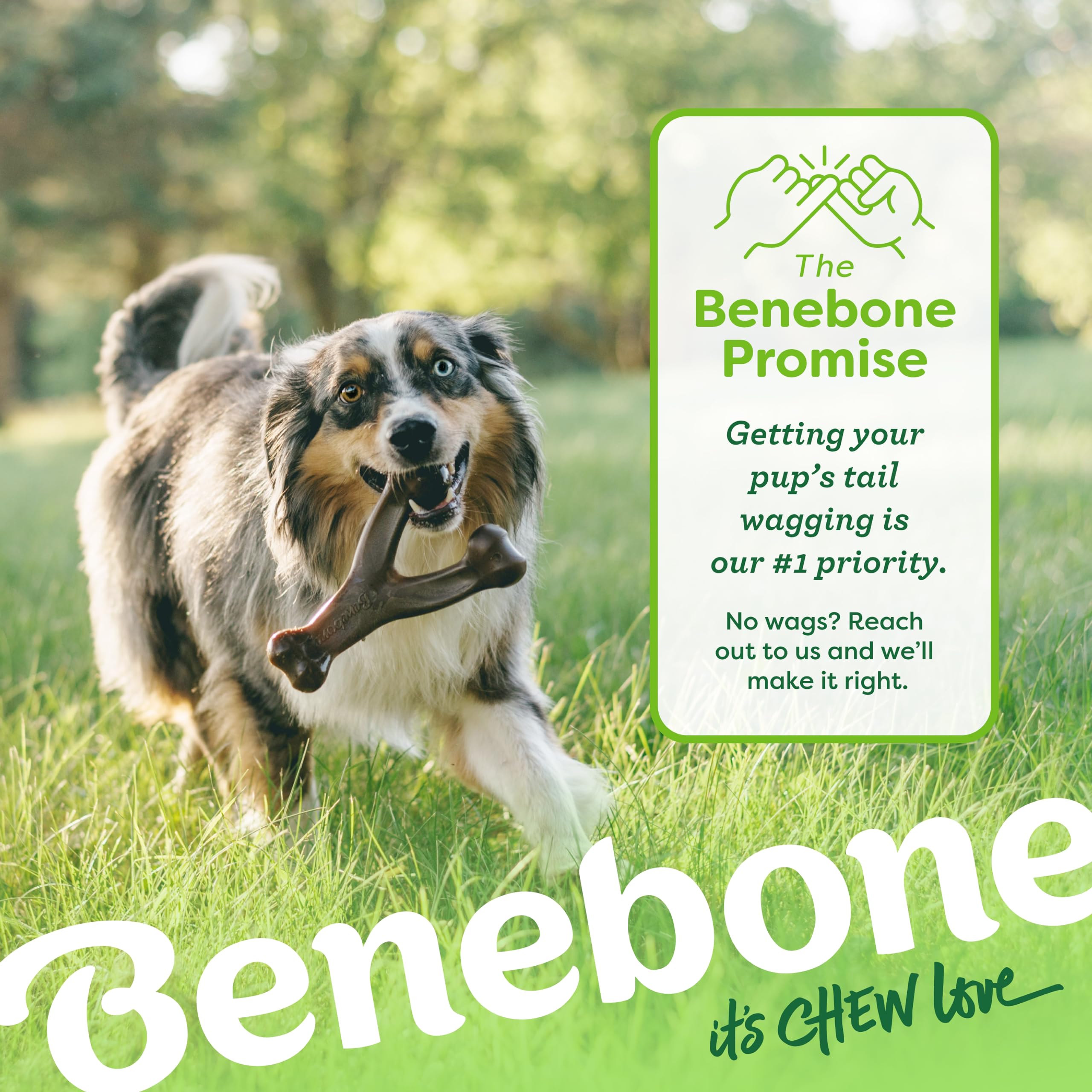 Benebone Wishbone Durable Chew Toy for Aggressive Chewers | Real Chicken Flavor | Medium Size 6
