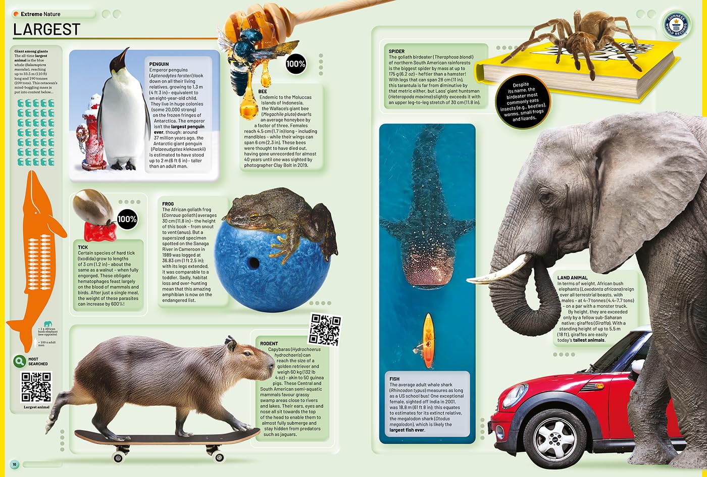 Guinness World Records 2026 - Hardcover Reference Book | Ages 7+ | 256 Pages 3