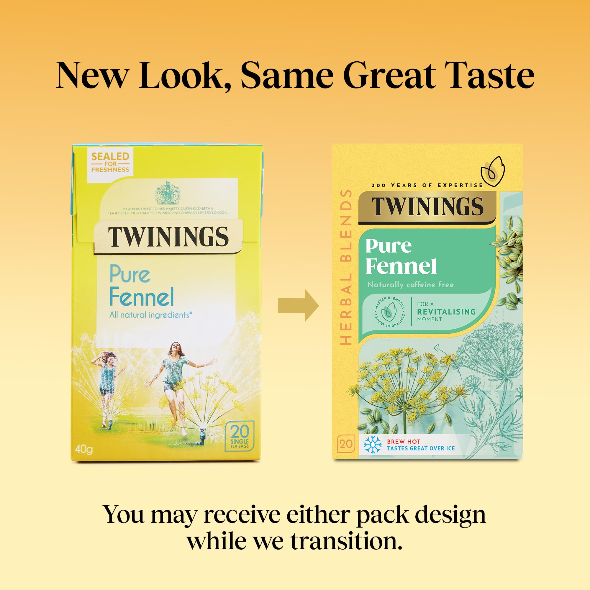 Twinings Pure Fennel Herbal Tea - Supports Digestion | 20 Tea Bags | 40g