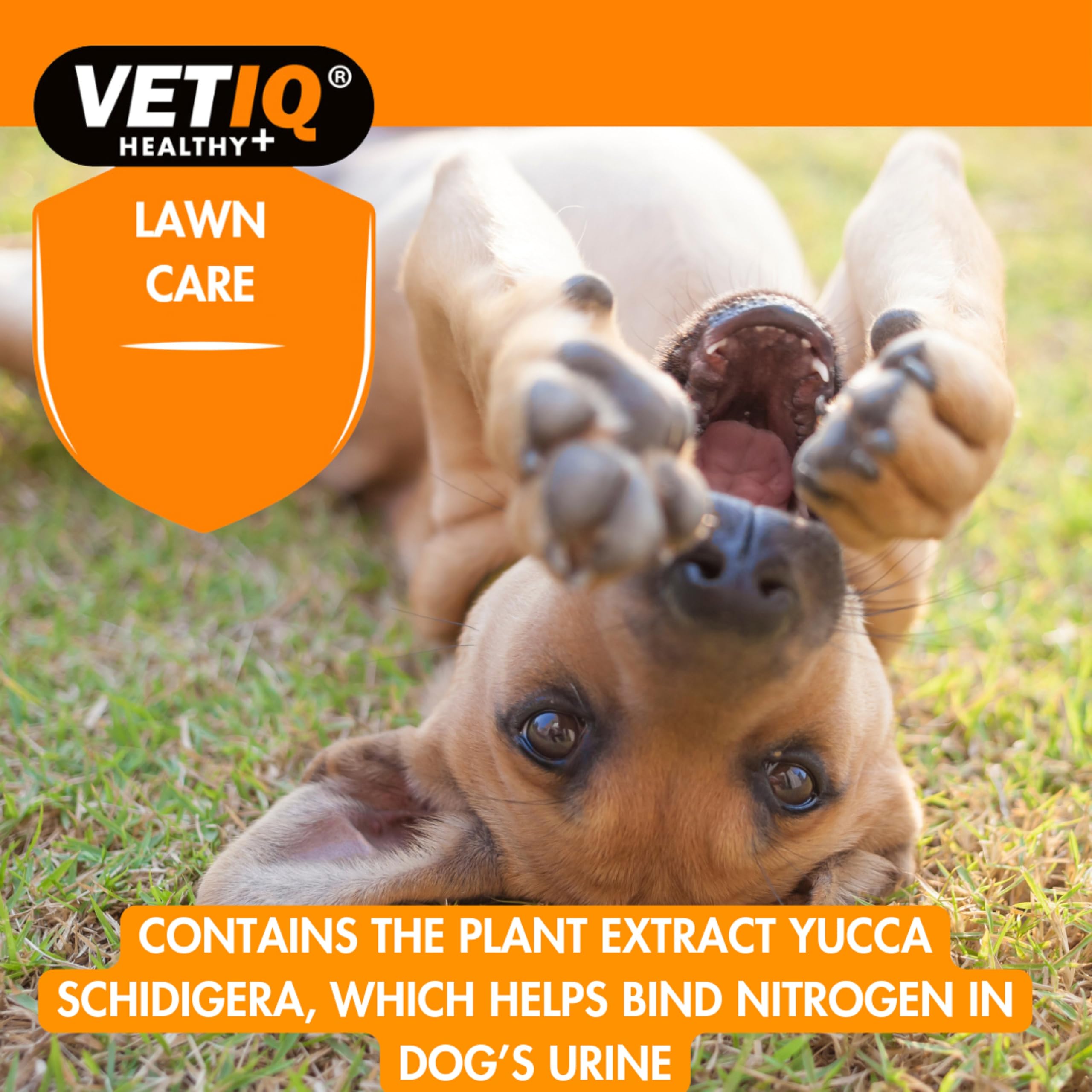 VETIQ Green-Um Lawn Burn Solution - Neutralizes Dog Urine pH | 175 Tablets | Contains B Vitamins 4